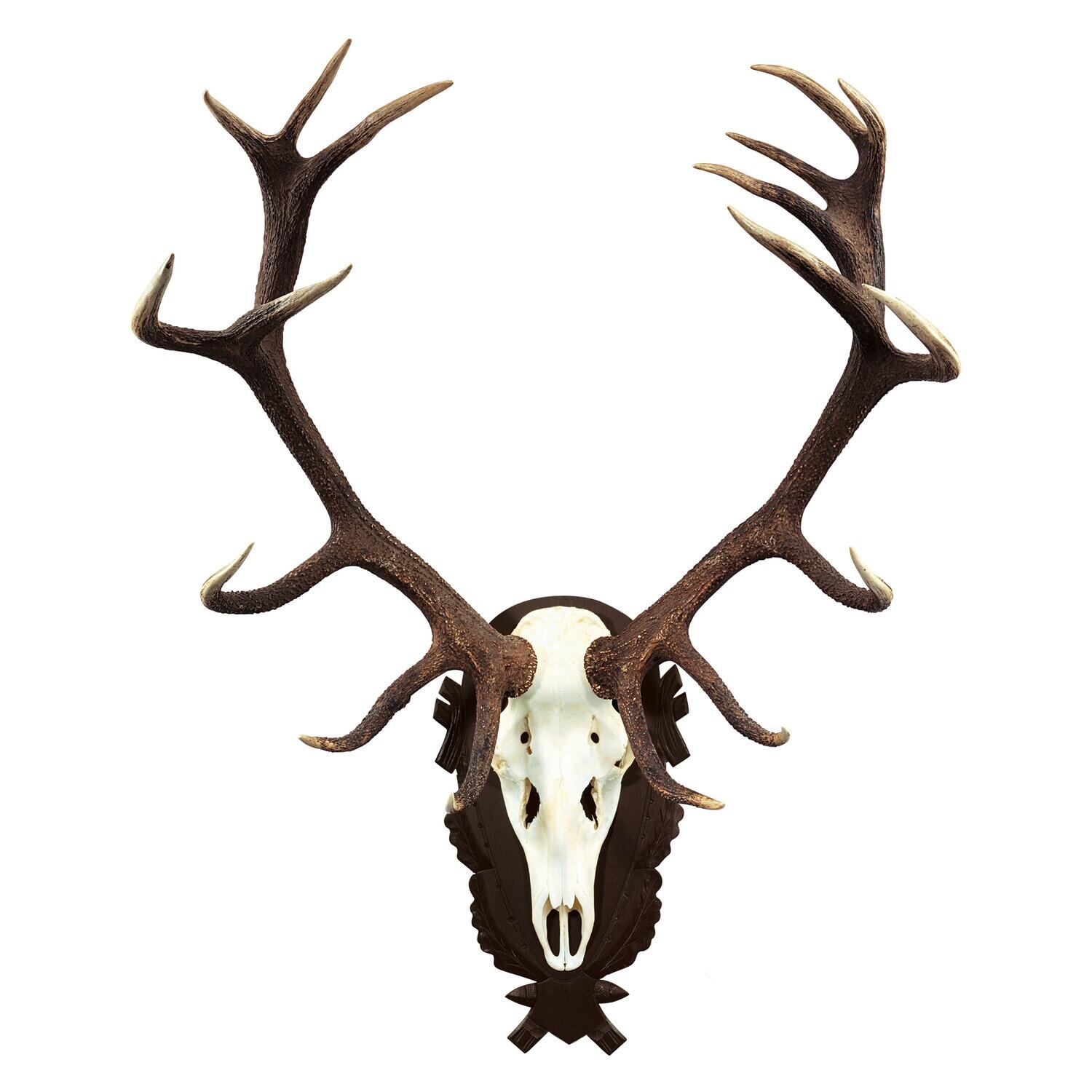 Trophäenschild Hirsch 2/2