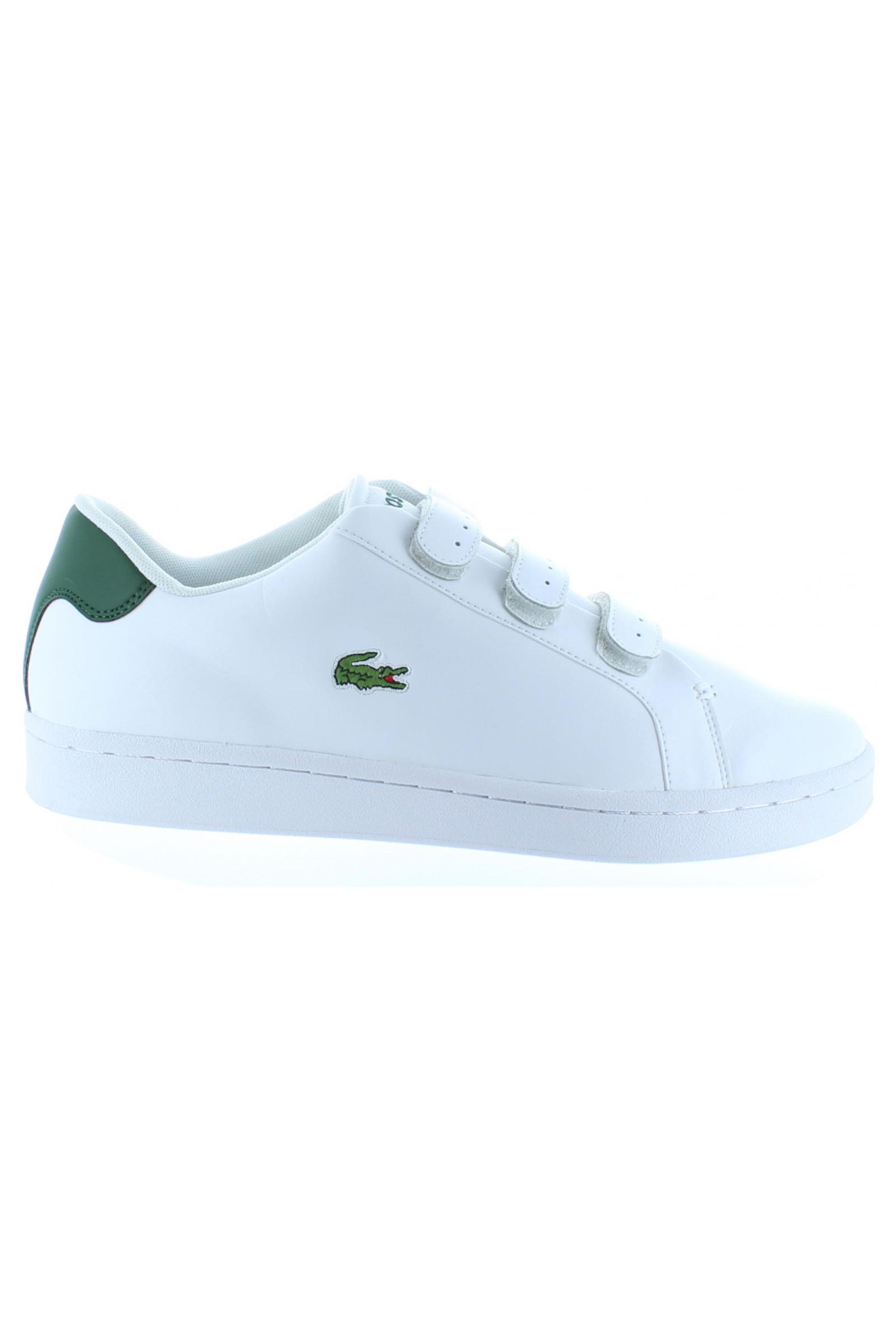 LACOSTE picture