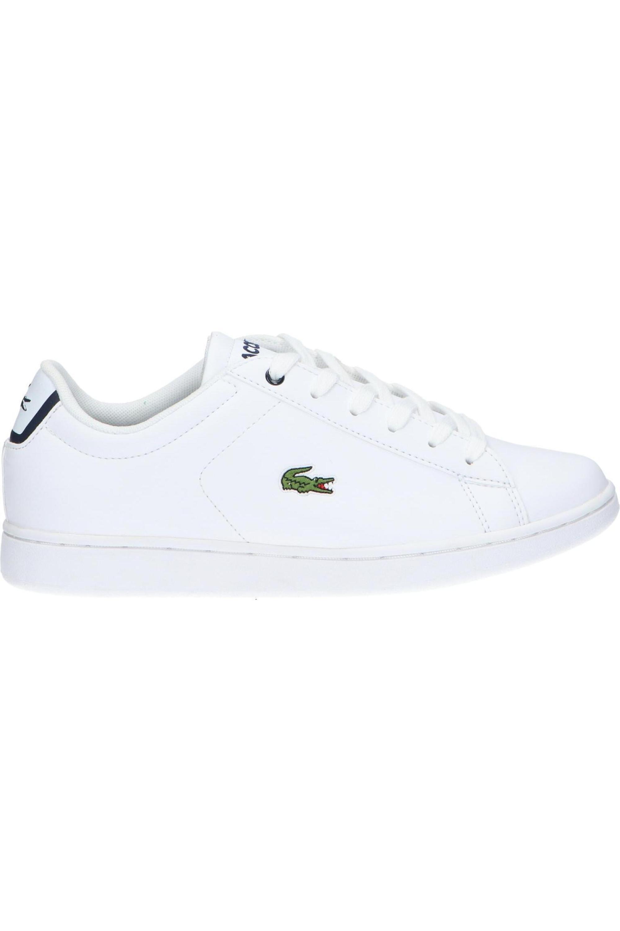 LACOSTE picture