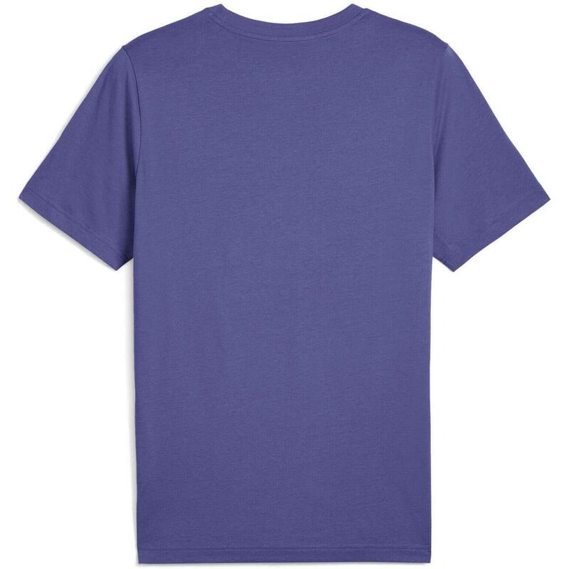 Tricou barbati Puma Graphics Wording Tee, Albastru