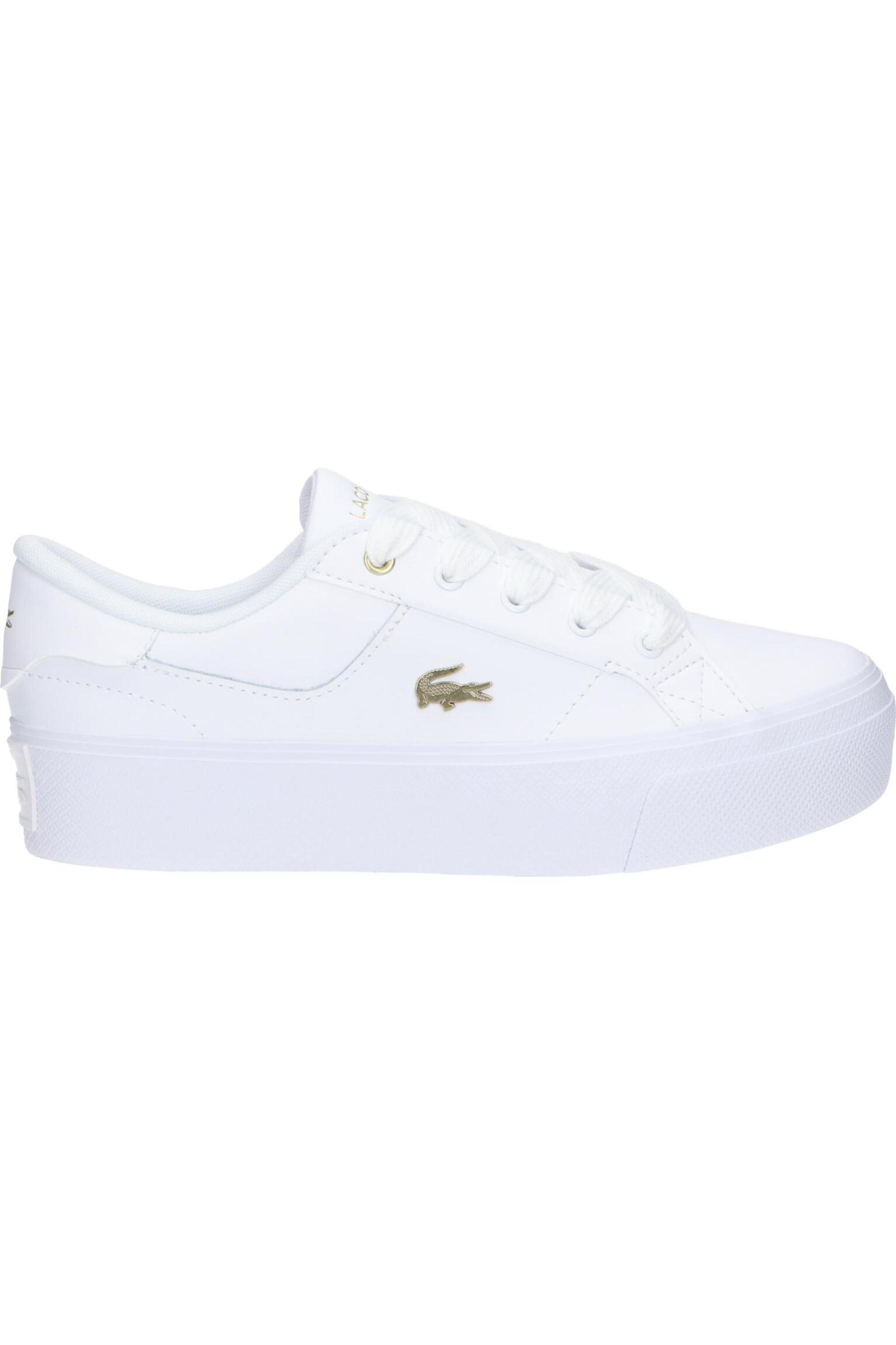 LACOSTE picture