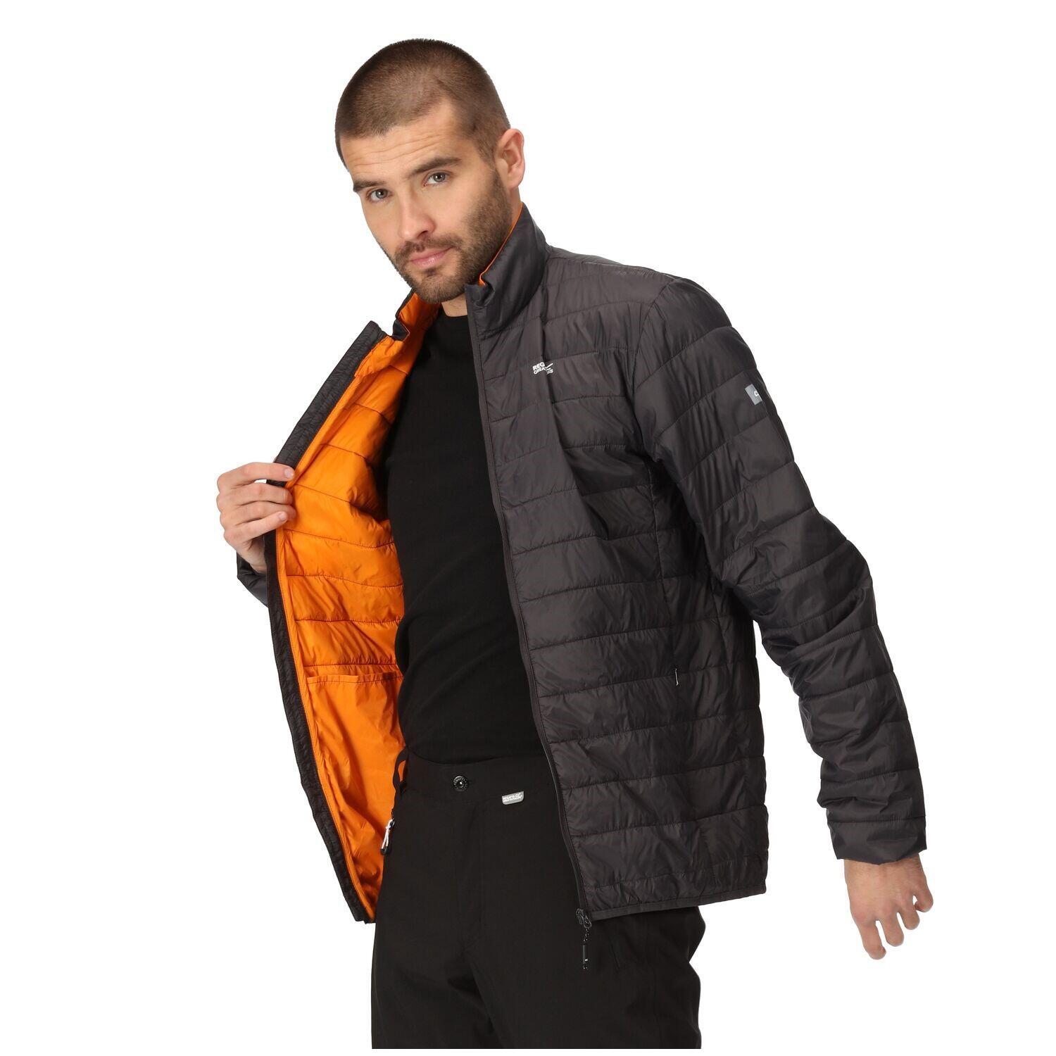 Chaqueta acolchada senderismo hombre Regatta Hillpack, ash grey 7/7