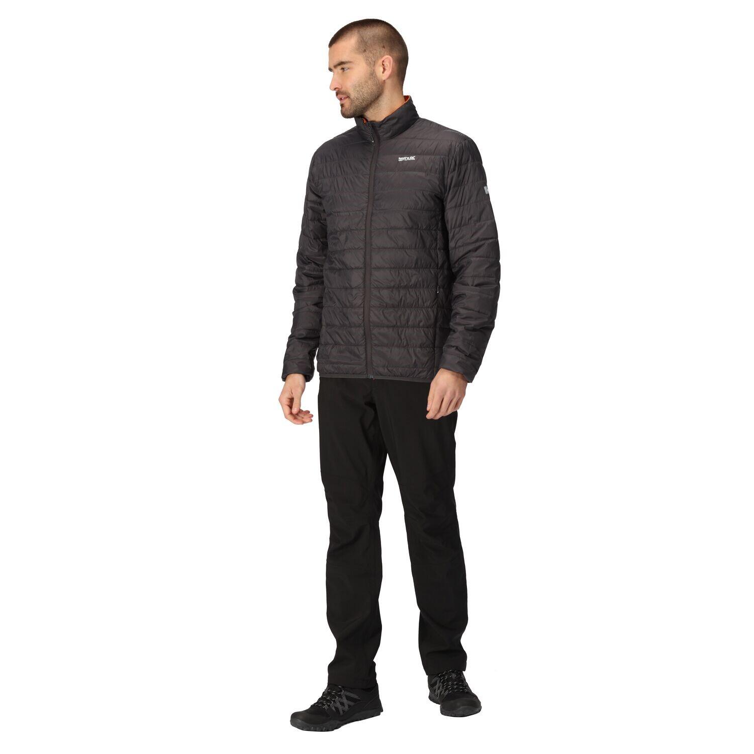 Chaqueta acolchada senderismo hombre Regatta Hillpack, ash grey 6/7