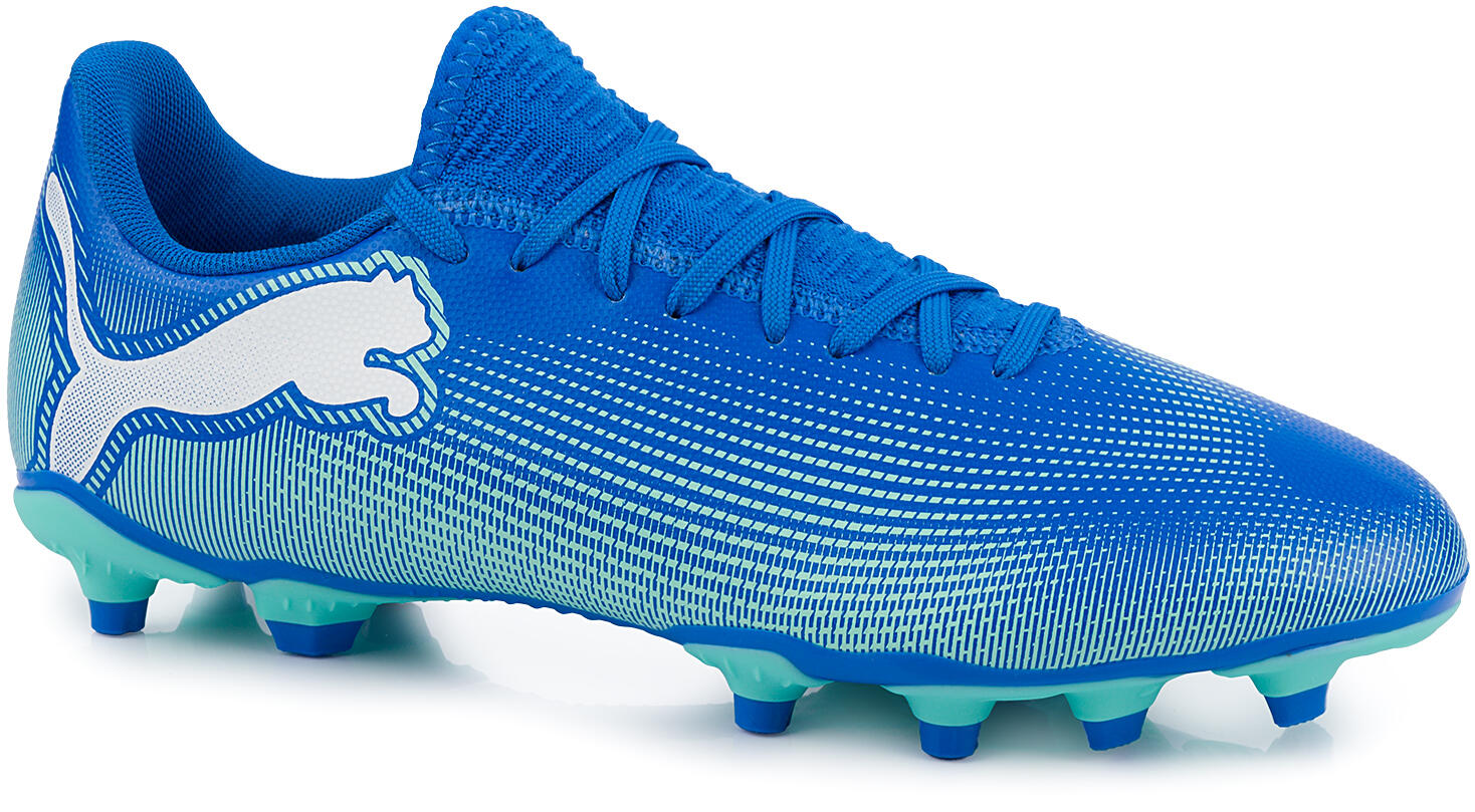 PUMA picture