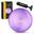 Minge gimnastică Reh Ball 4FIZJO 22 cm
