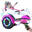 Hoverboard et Hoverkart Gyropode 6.5 Pouces RCB-WJ1
