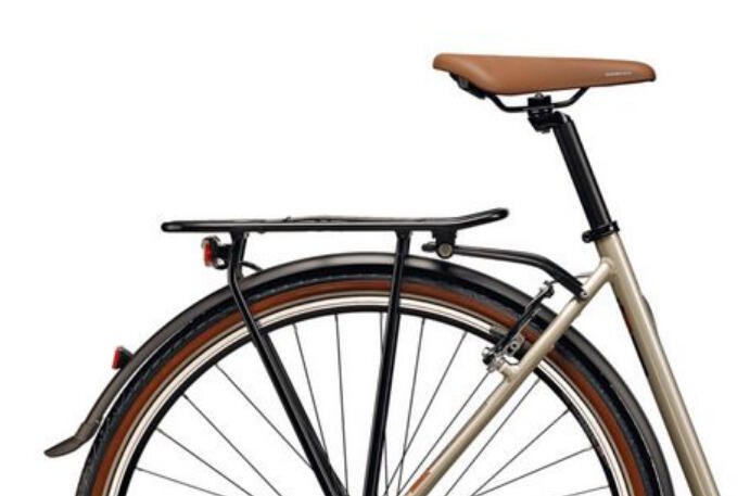 Trekkingbike ARENA LOW STEP 28 Zoll 4/4