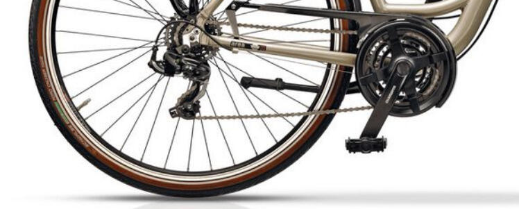 Trekkingbike ARENA LOW STEP 28 Zoll 3/4
