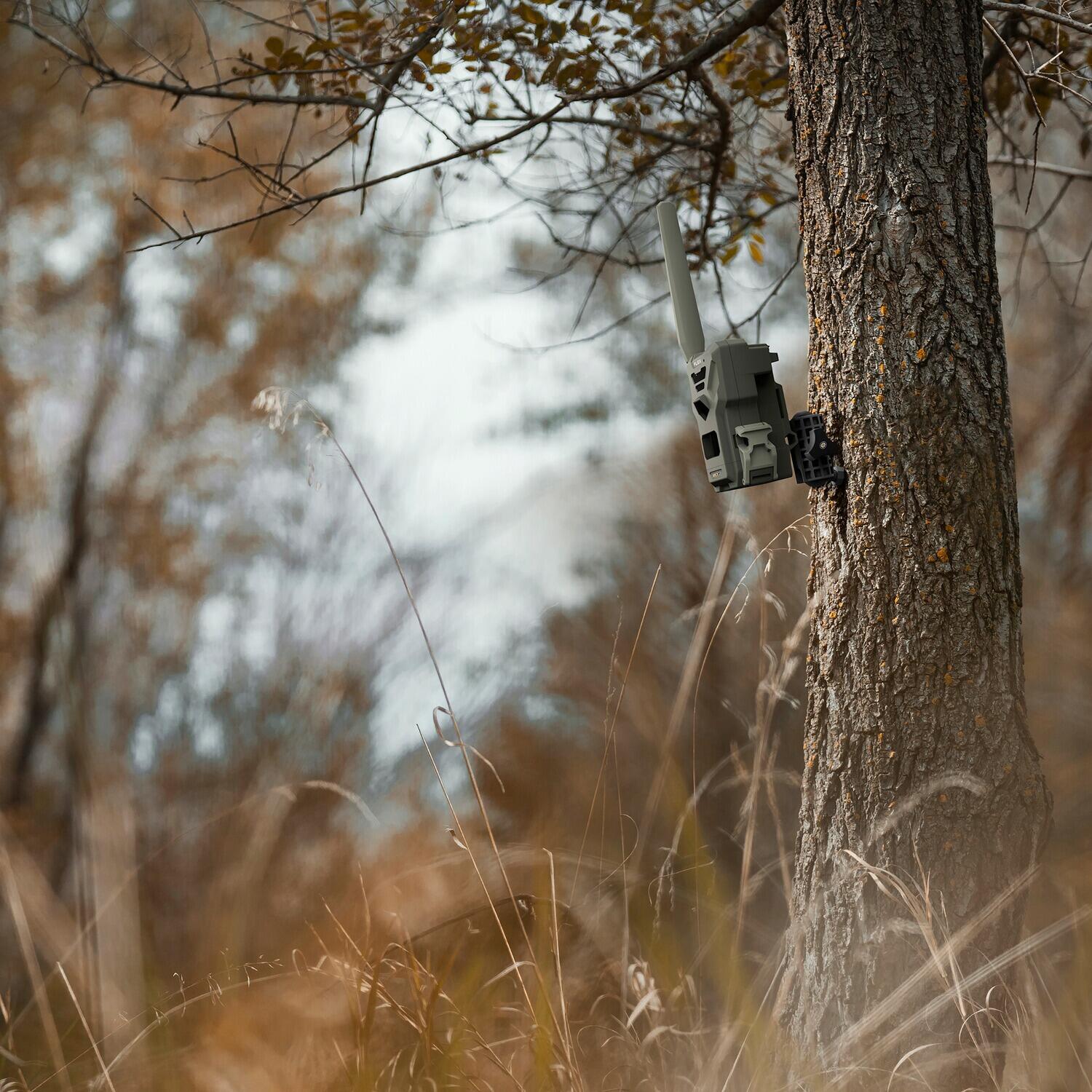 Baumstativ für alle Spypoint Wildkameras 7/7