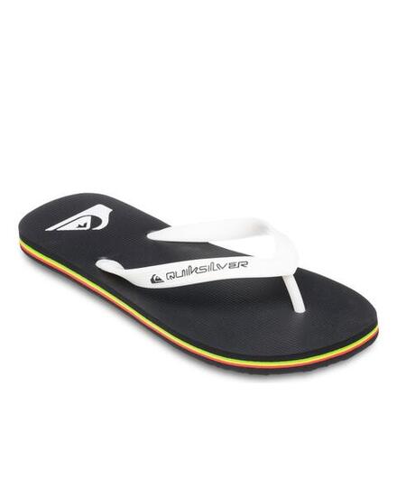 Chanclas MOLOKAI CORE Gris Hombre