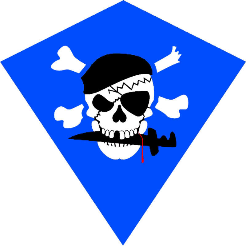 Wolkenstürmer - Cerf-volant 2 Lignes- Wolkensturmer - Racer -  Pirat - Cerf Volant - Bleu|noir - No Size - Decathlon