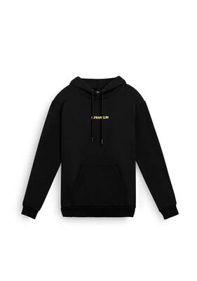 Felpa basic D.Franklin 911 Iconic hoodie