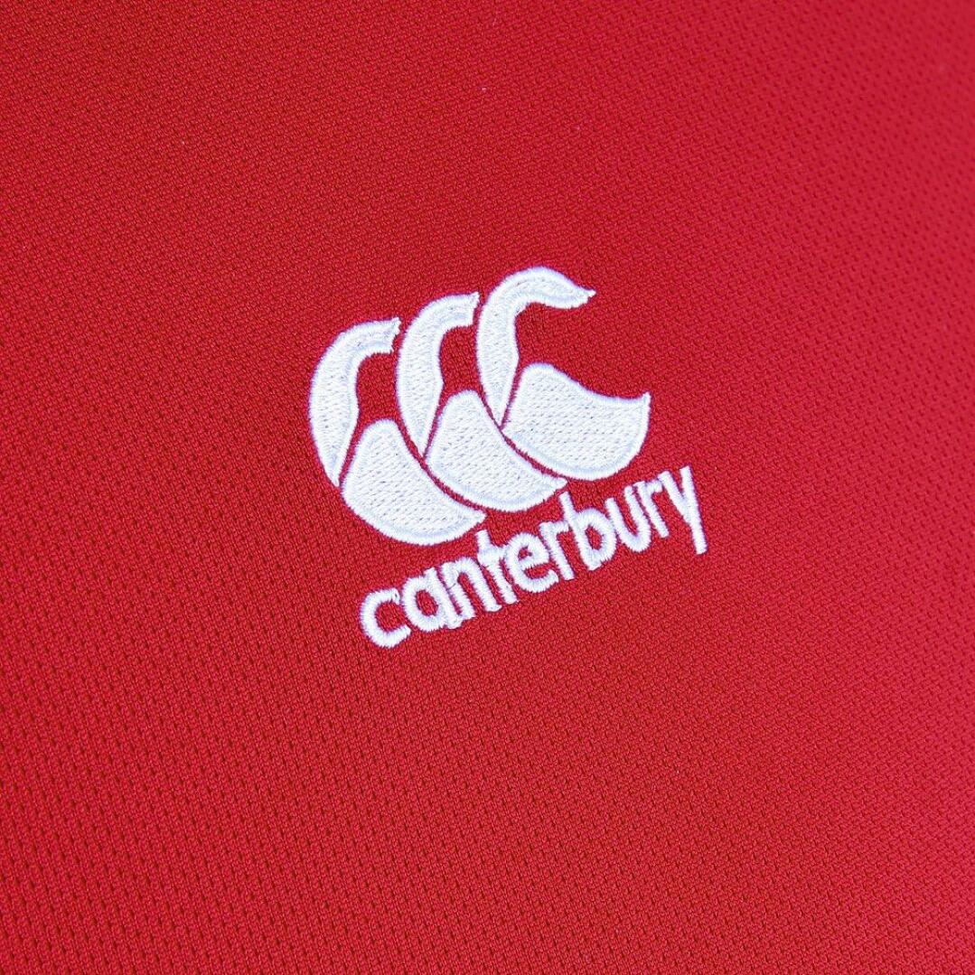 Canterbury Men's Sports T-Shirt Team Dry Flag Training Short Sleeve 3/3