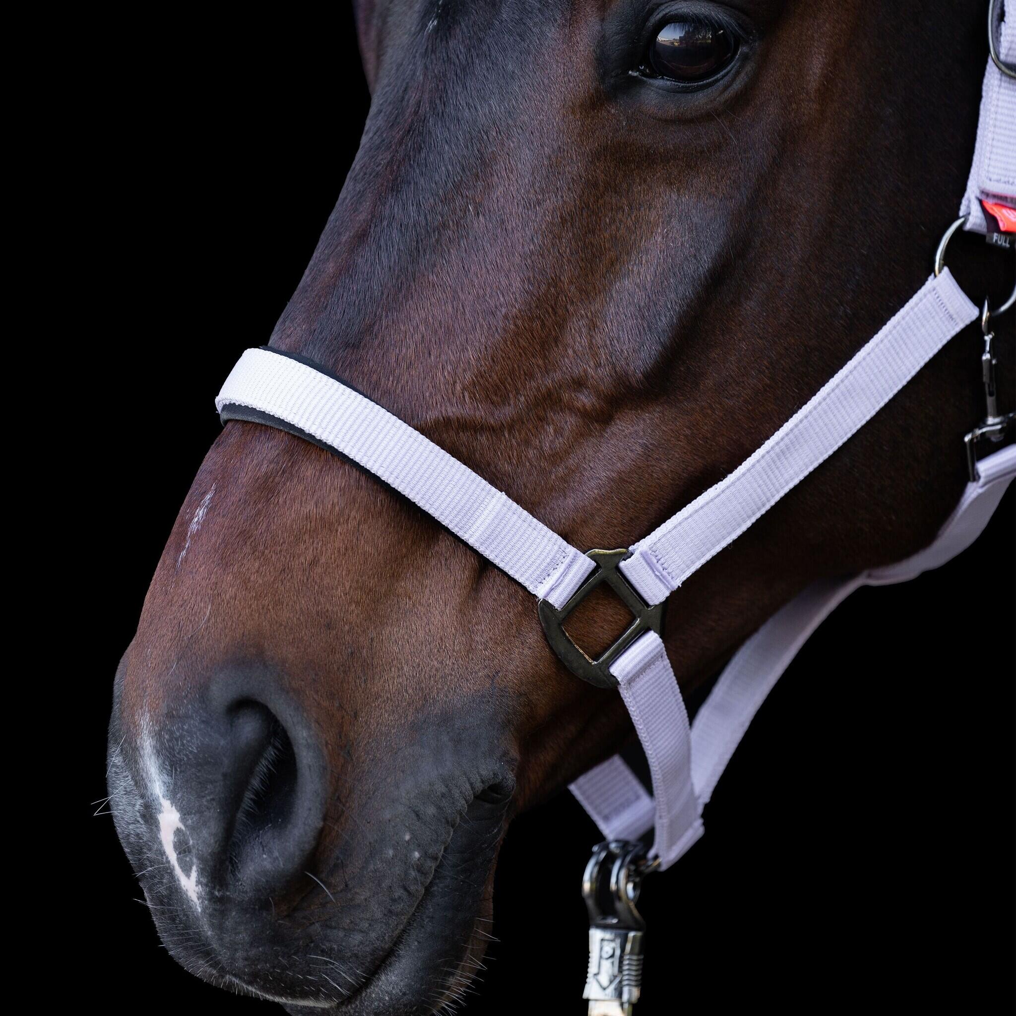 Imperial Riding Halster  Classic Sport - Ballerina (Full) 2/3