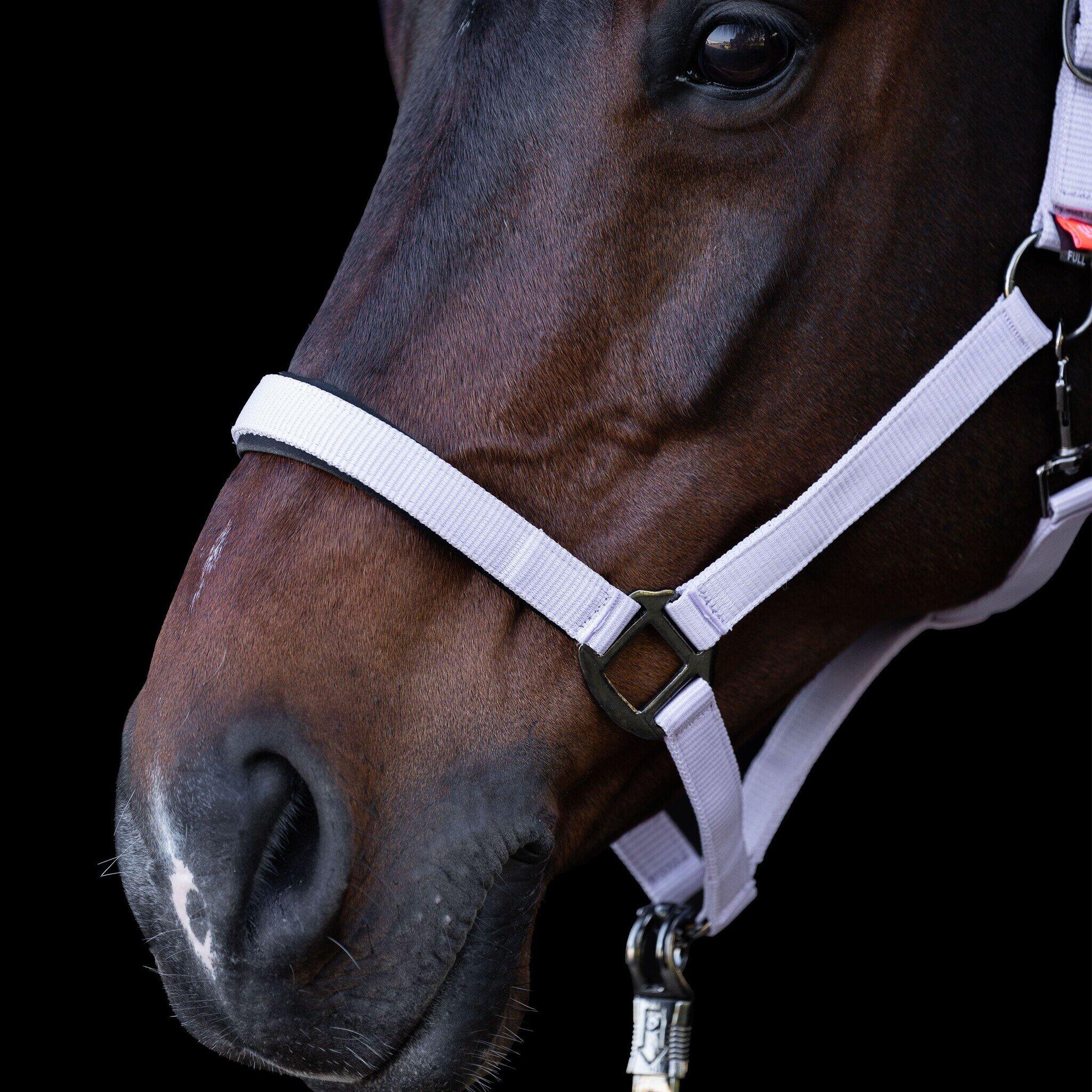 Imperial Riding Halster  Classic Sport - Ballerina (Pony) (Pony) 2/3