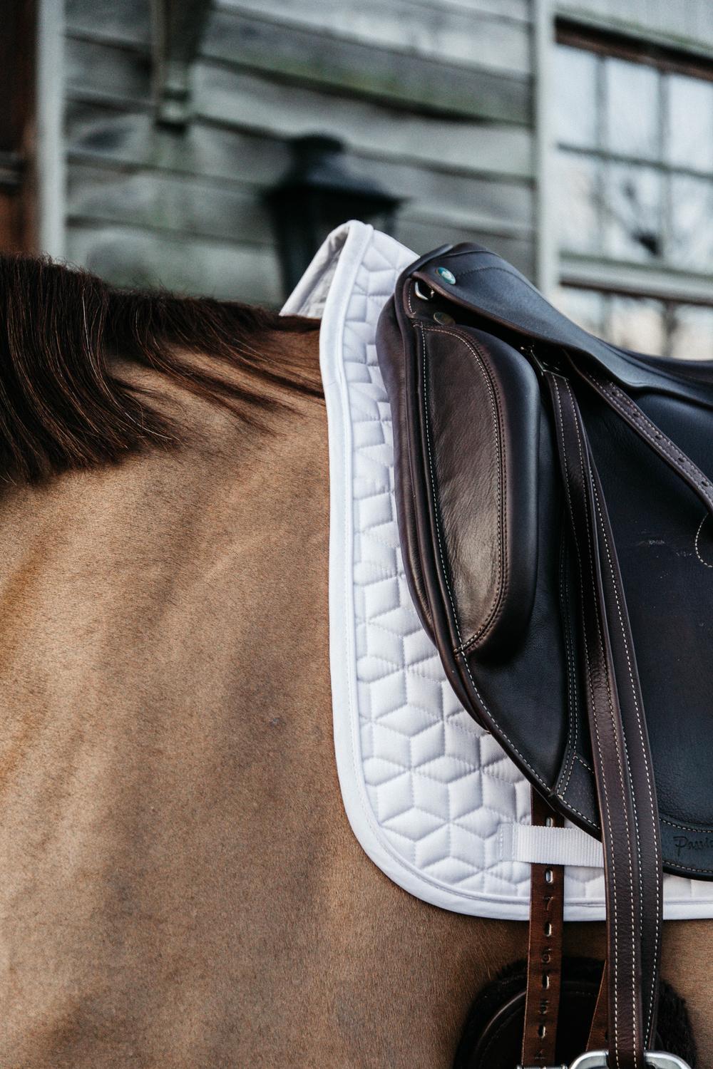 Tappeto da dressage Kentucky Classic 3/4