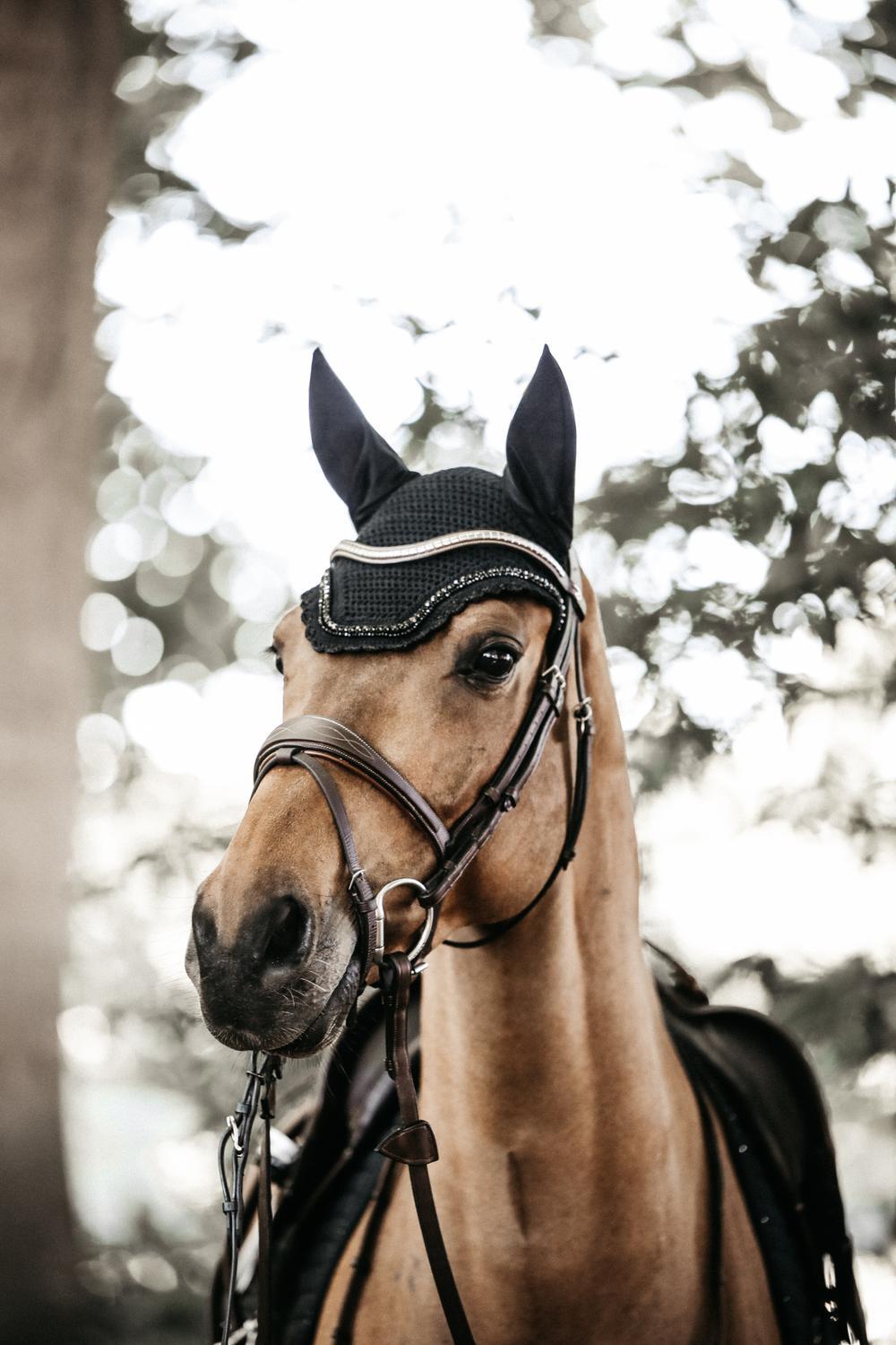 Bonnet anti-mouche Wellington stone & pearl noir 3/4