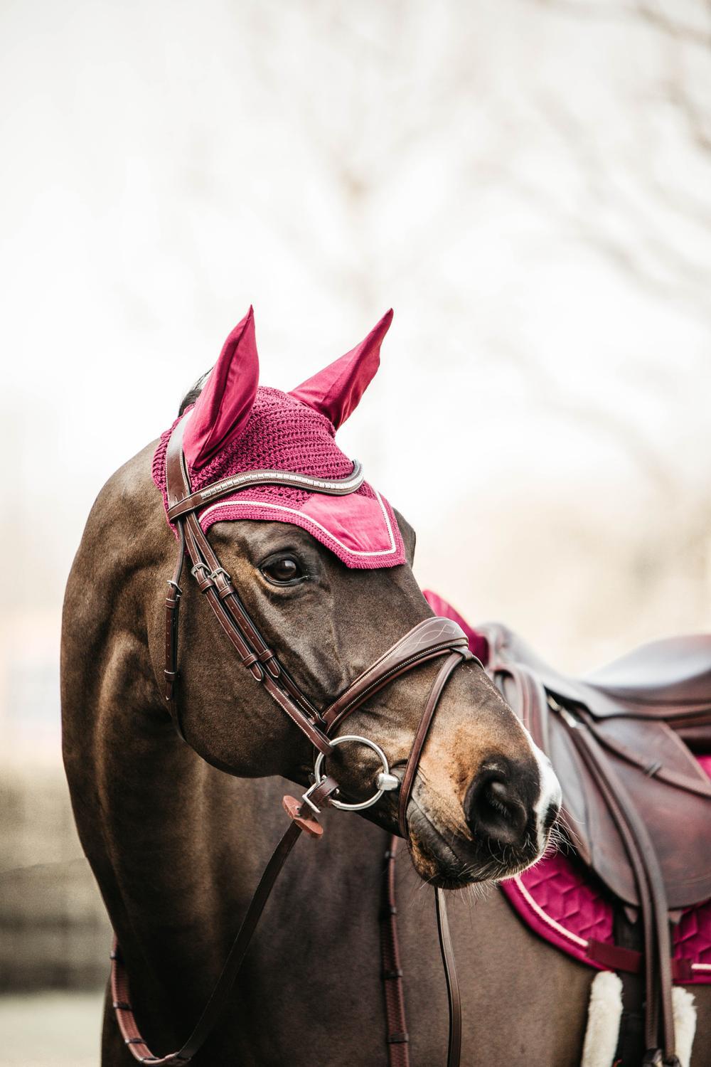 Fliegenhaube Kentucky Wellington Velvet 3/5