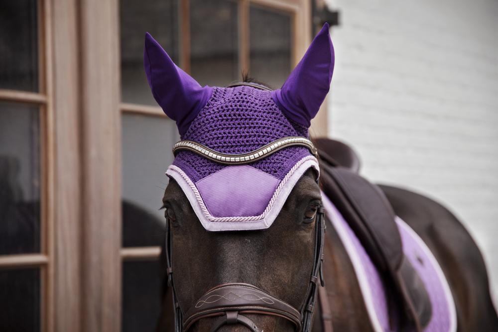 Bonnet anti-mouche Wellington velvet contrast royal purple 3/4