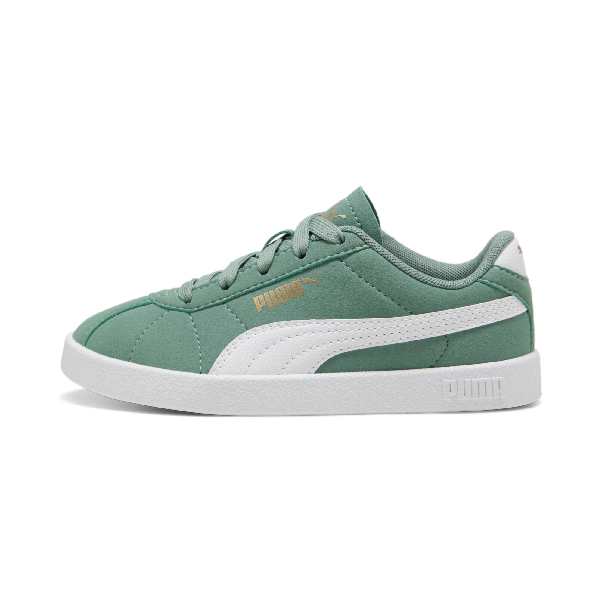 PUMA picture