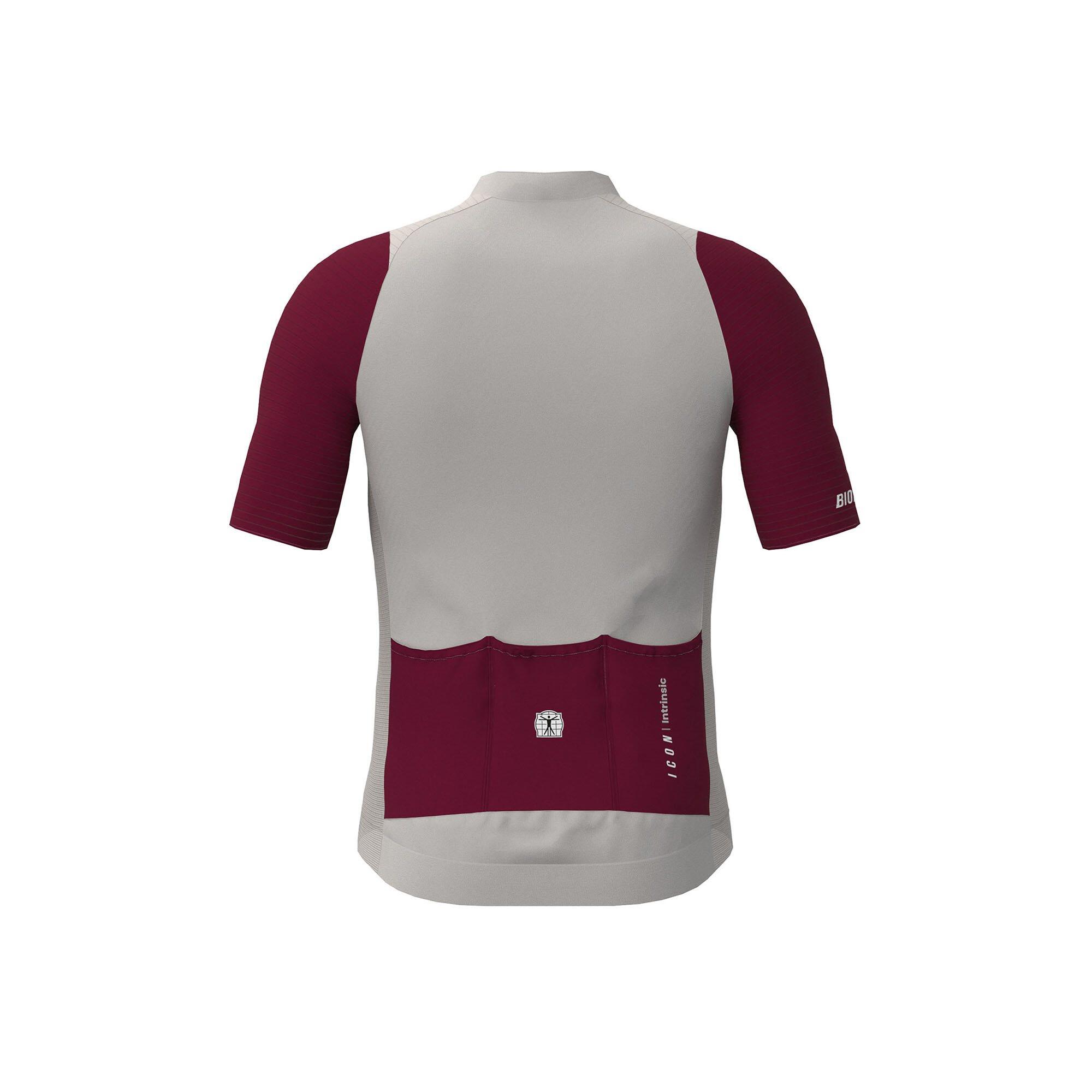Cycling Jersey Short Sleeve Kids - Icon Warm Grey/Bordeaux 2/2