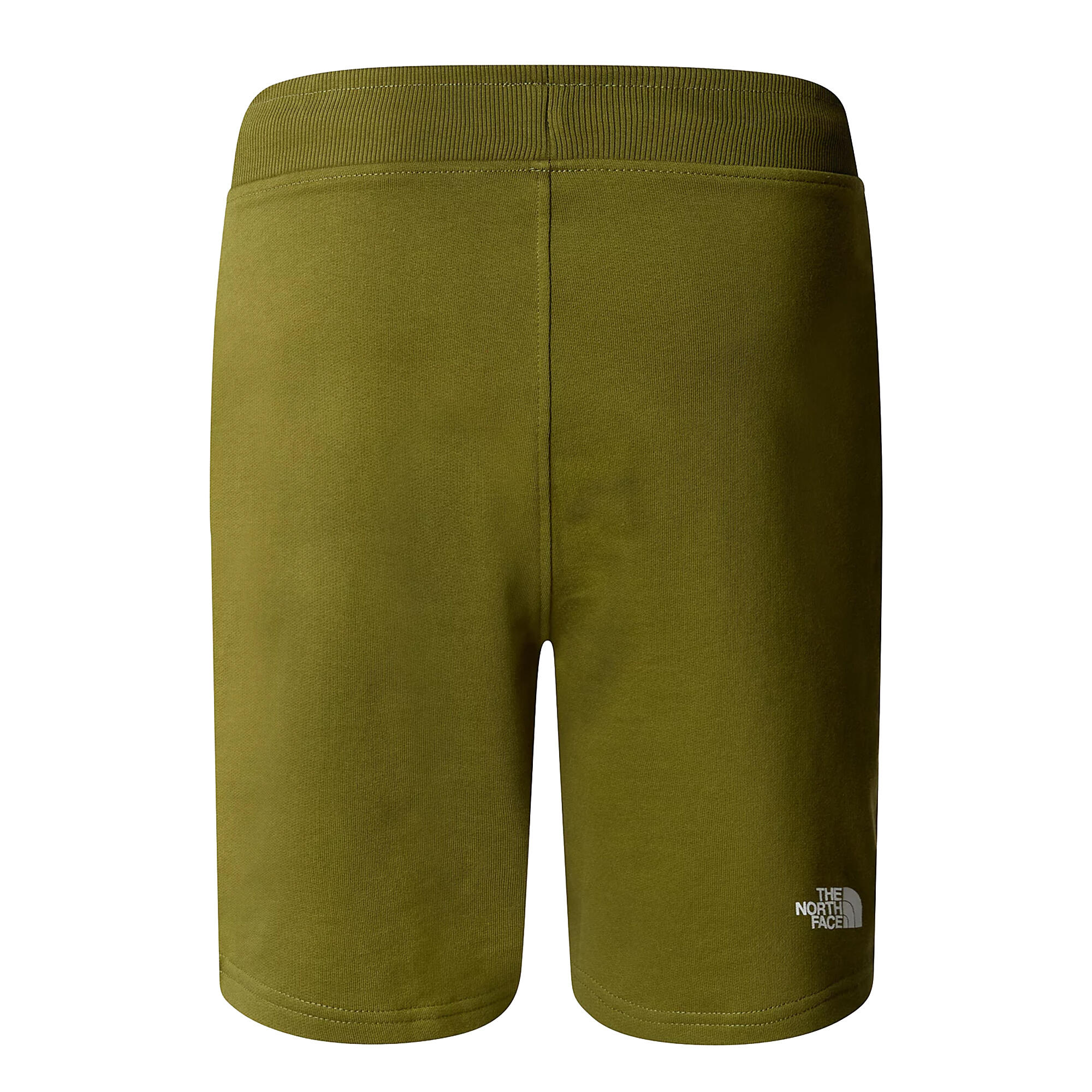 Shorts Standard Light Groen - NF0A3S4EPIB 2/2