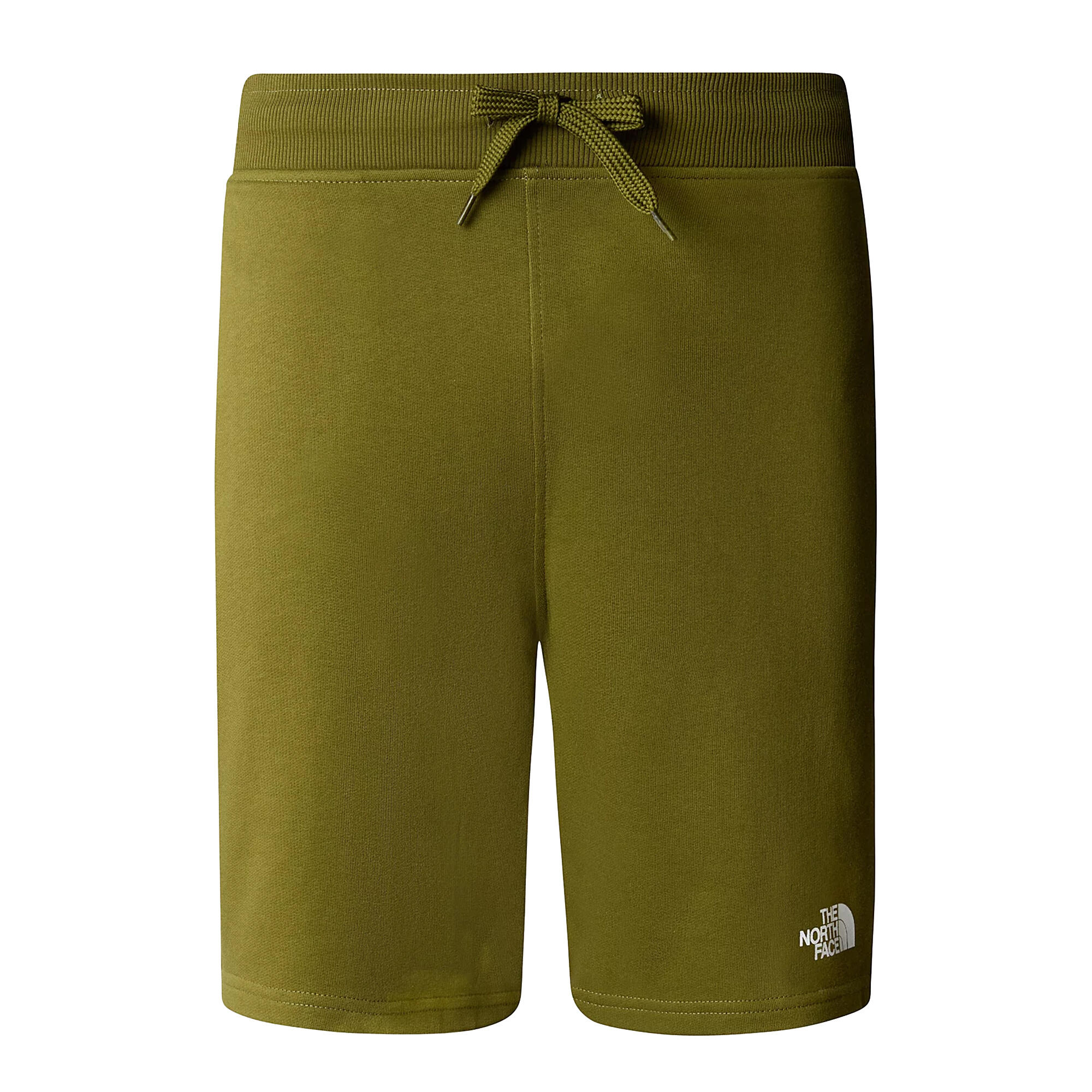Shorts Standard Light Groen - NF0A3S4EPIB 1/2
