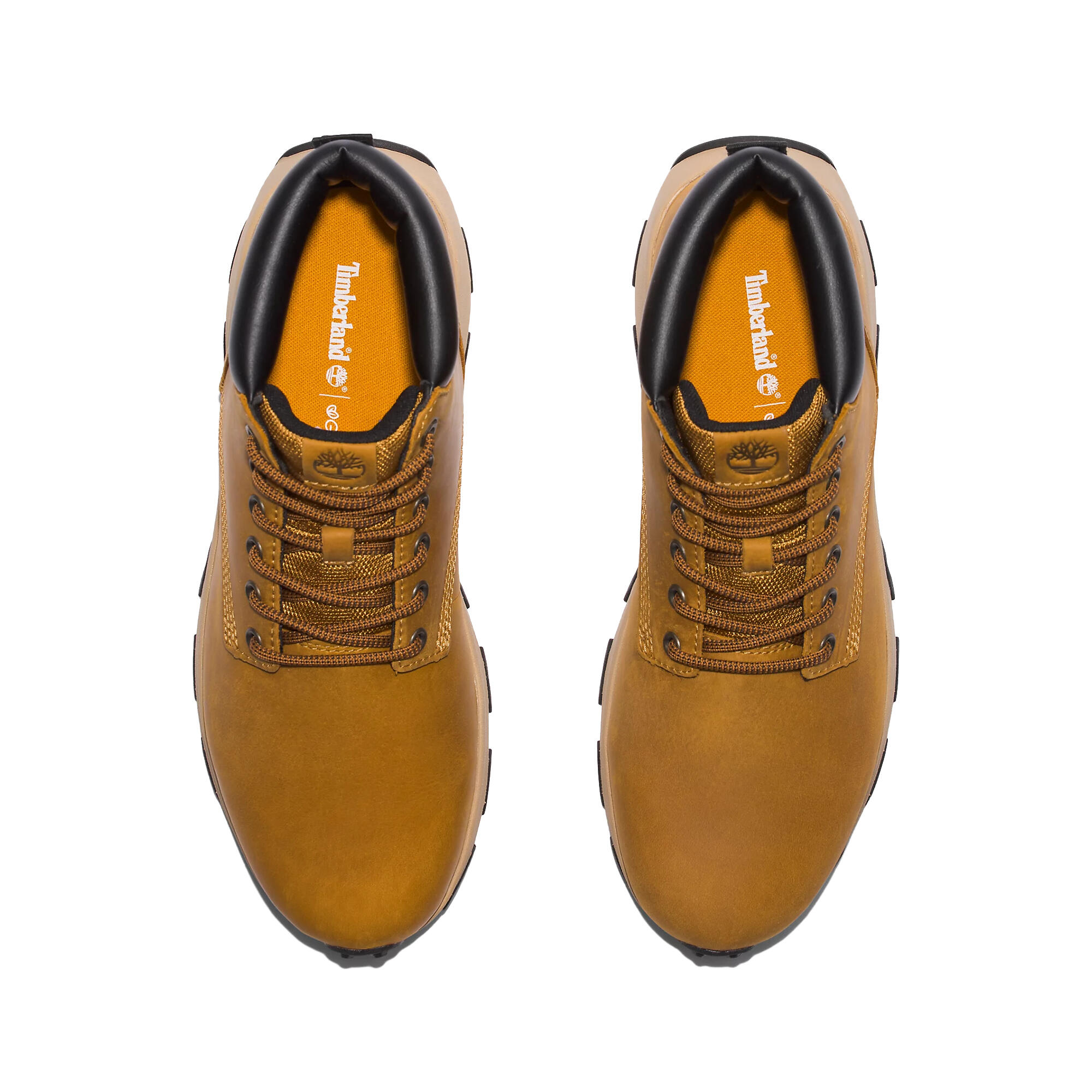 Chaussures Winsor Park - TB0A5Y7H231 Beige 5/5