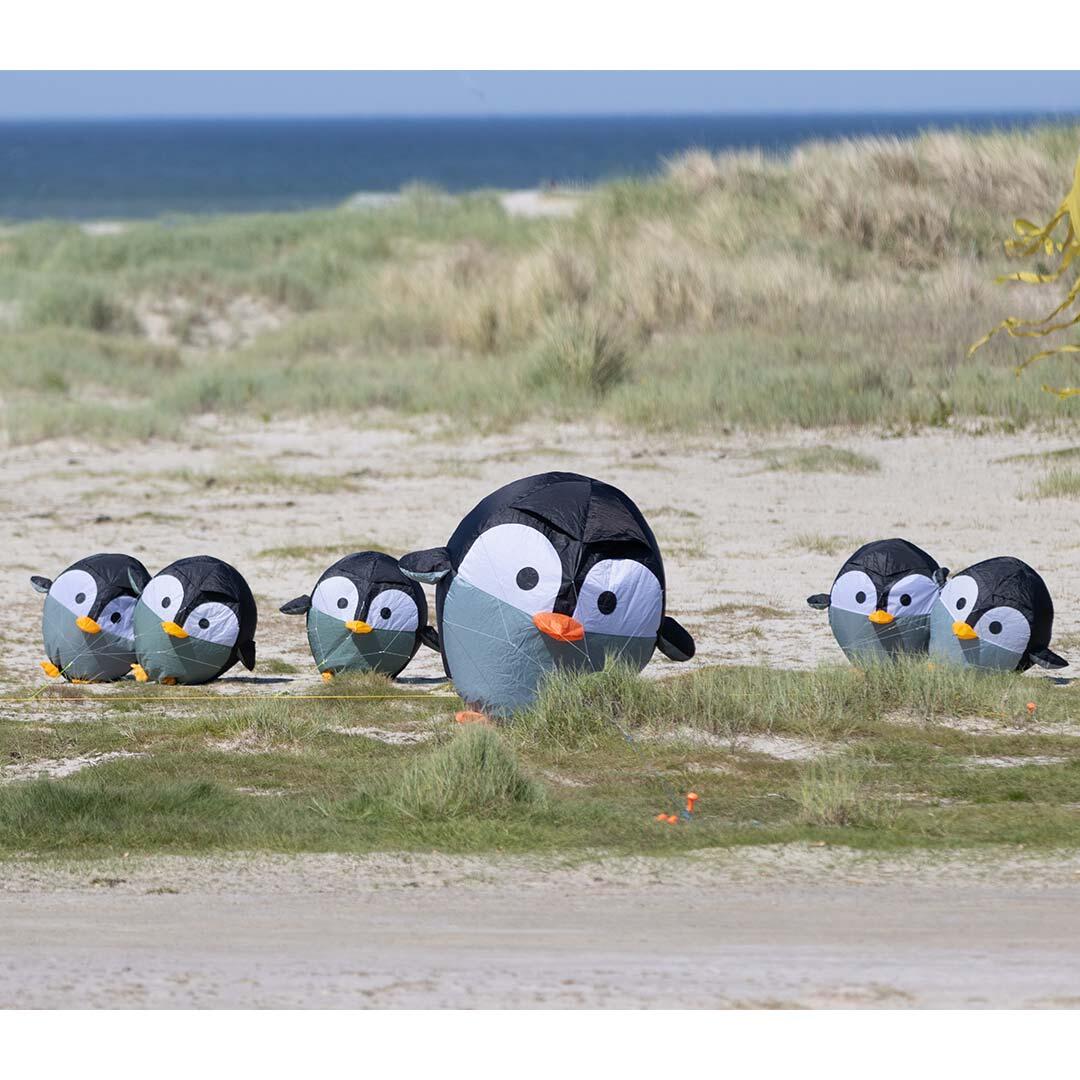 Pinguïn windvaan HQ Kites Birdeez 4/4