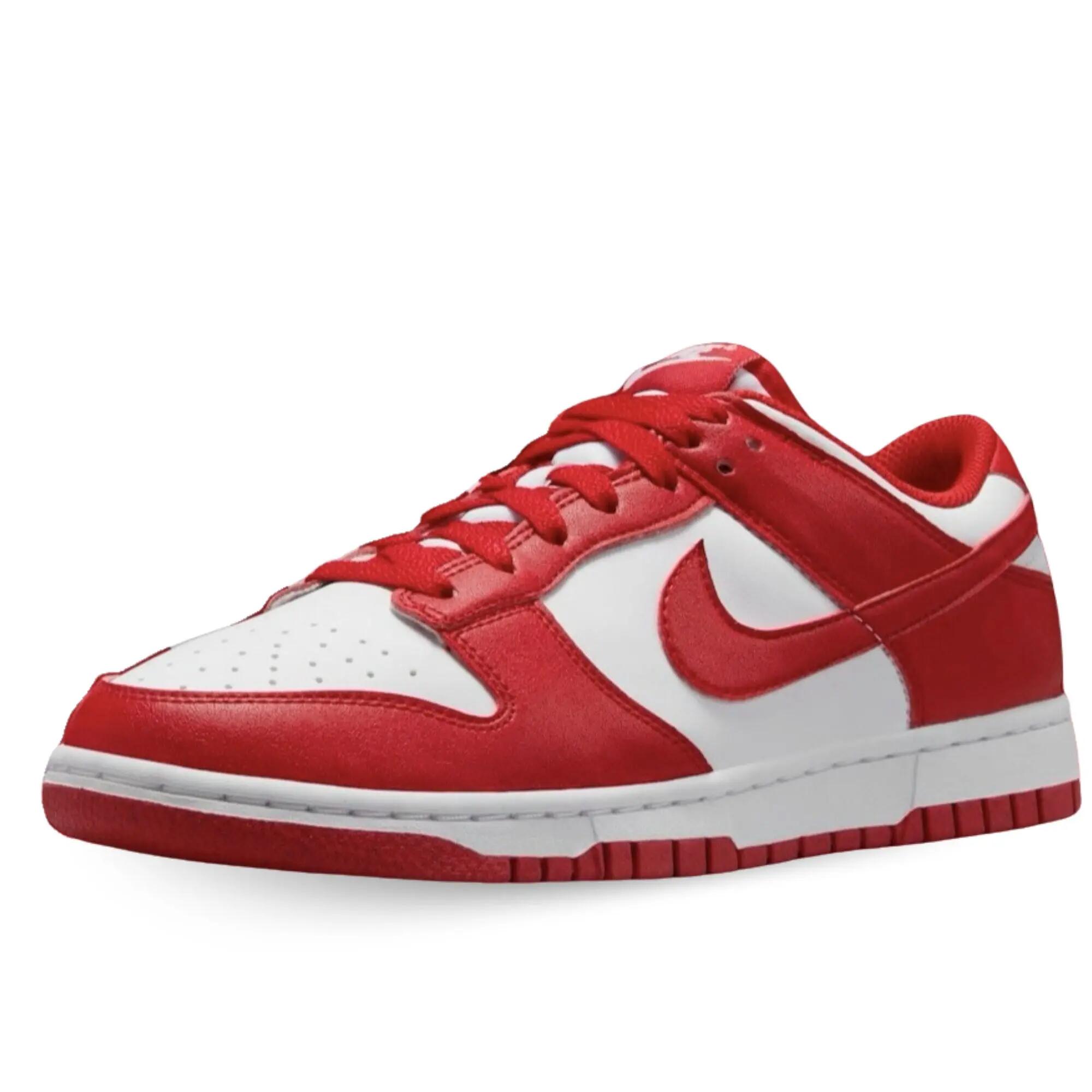 NIKE picture