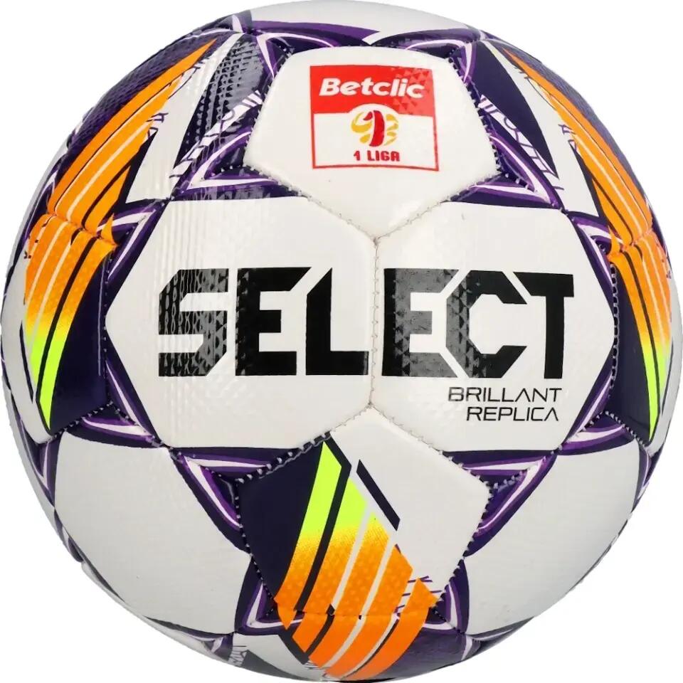 SELECT picture