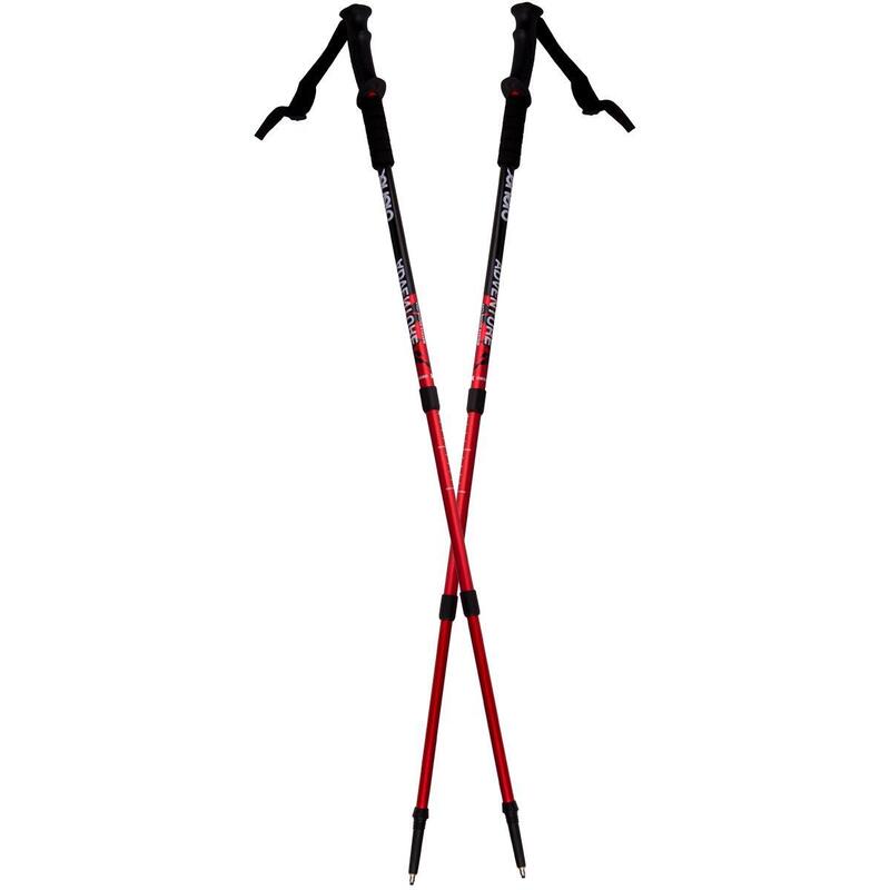 Kije trekkingowe Enero Adventure 110-135 cm