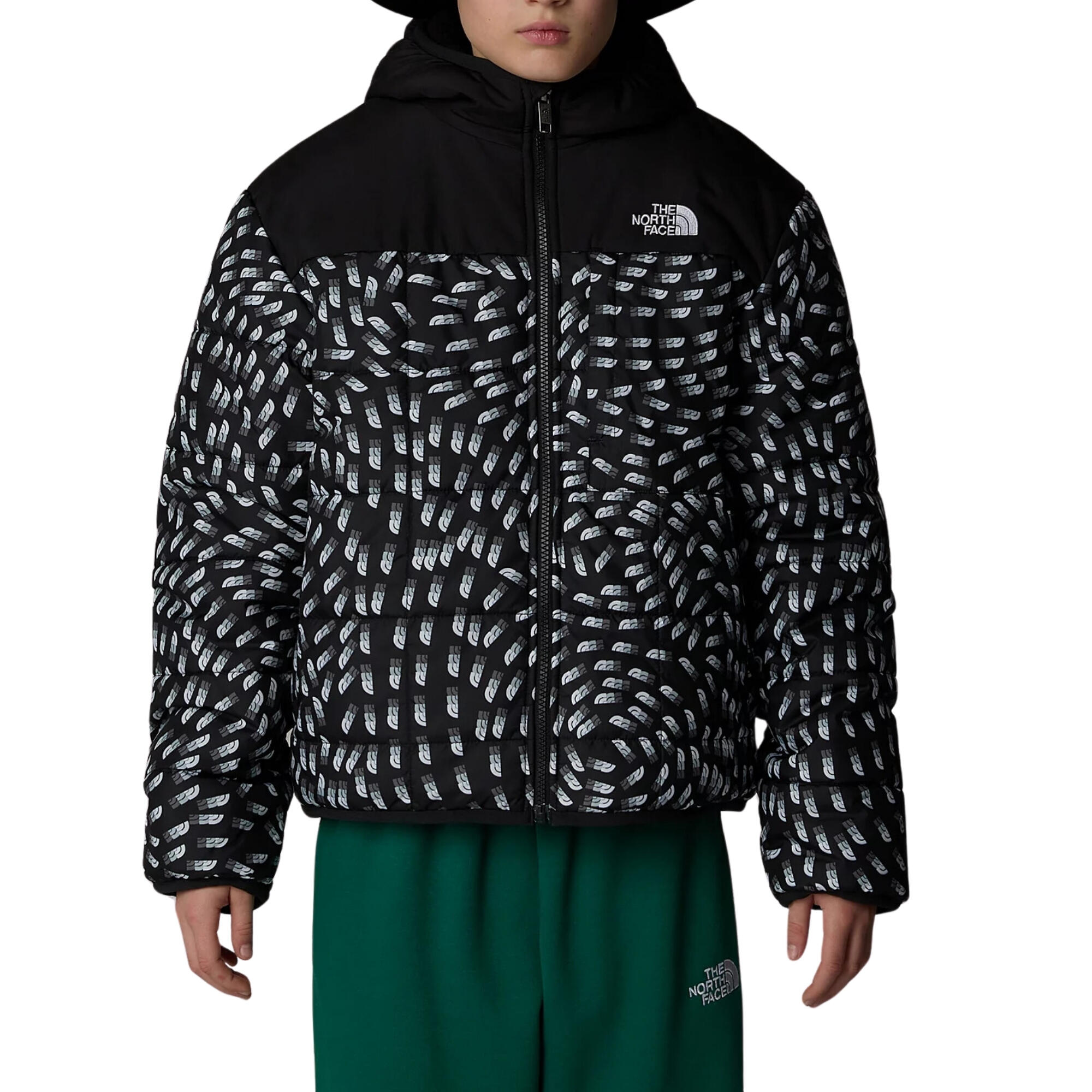 THE NORTH FACE picture