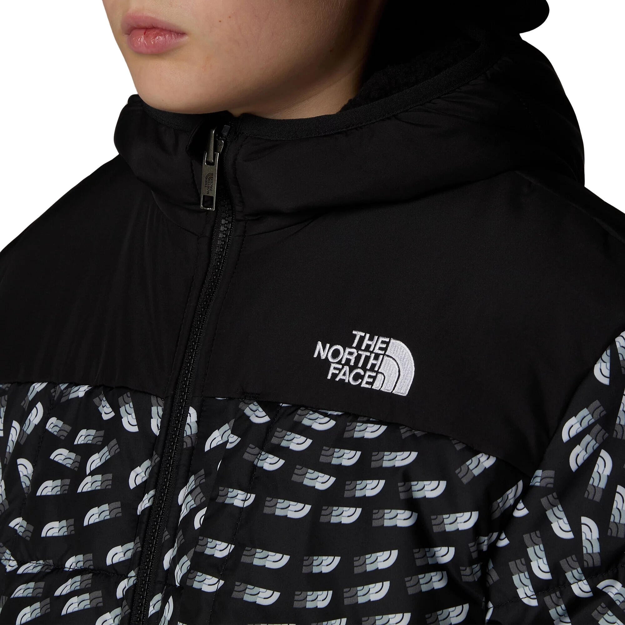Veste Reversible Shasta Noir - NF0A88TP4EI 4/5