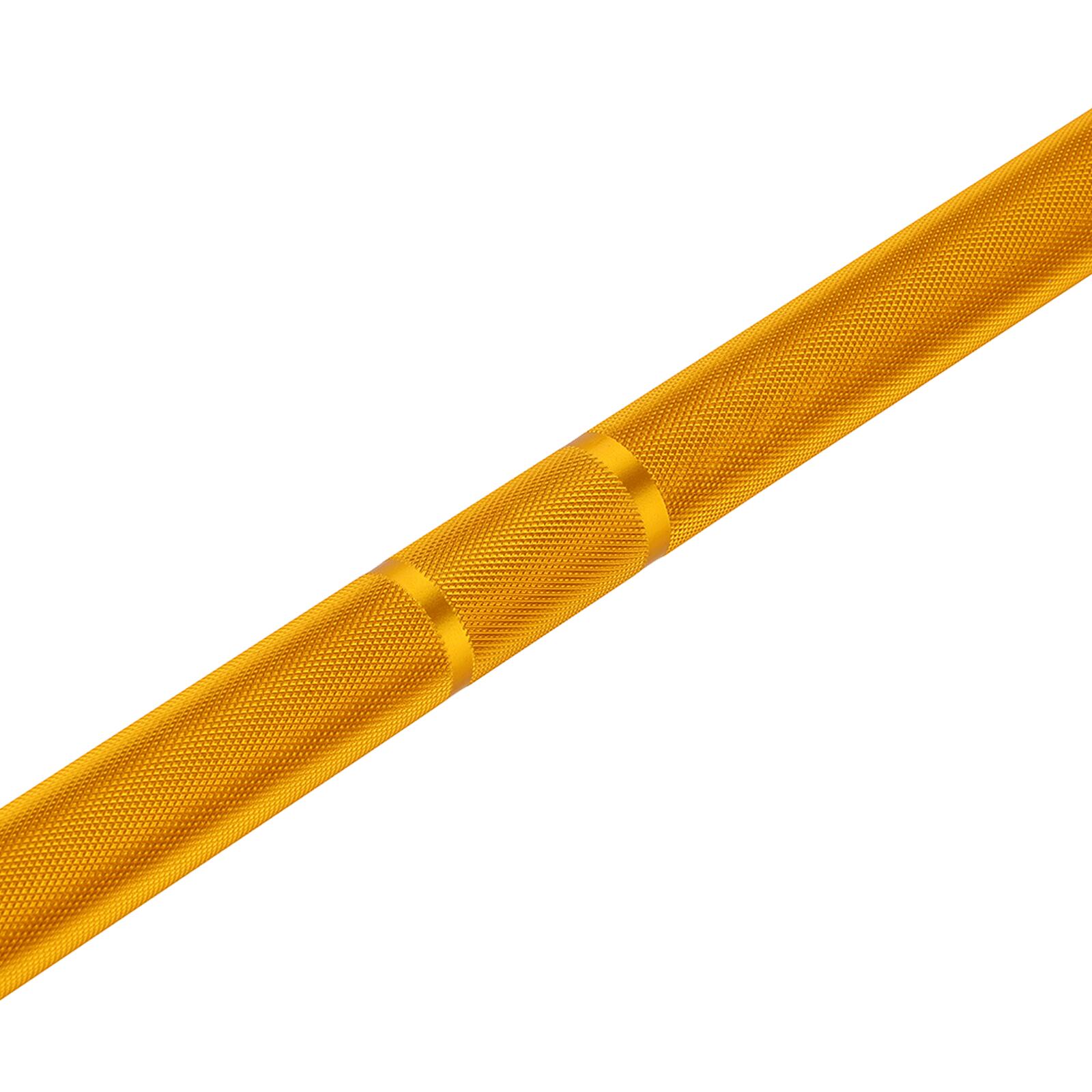 Barra técnica Gold 28 mm, 1.8m*50mm, 2 rolamentos, 45kg Fitness Tech 3/7