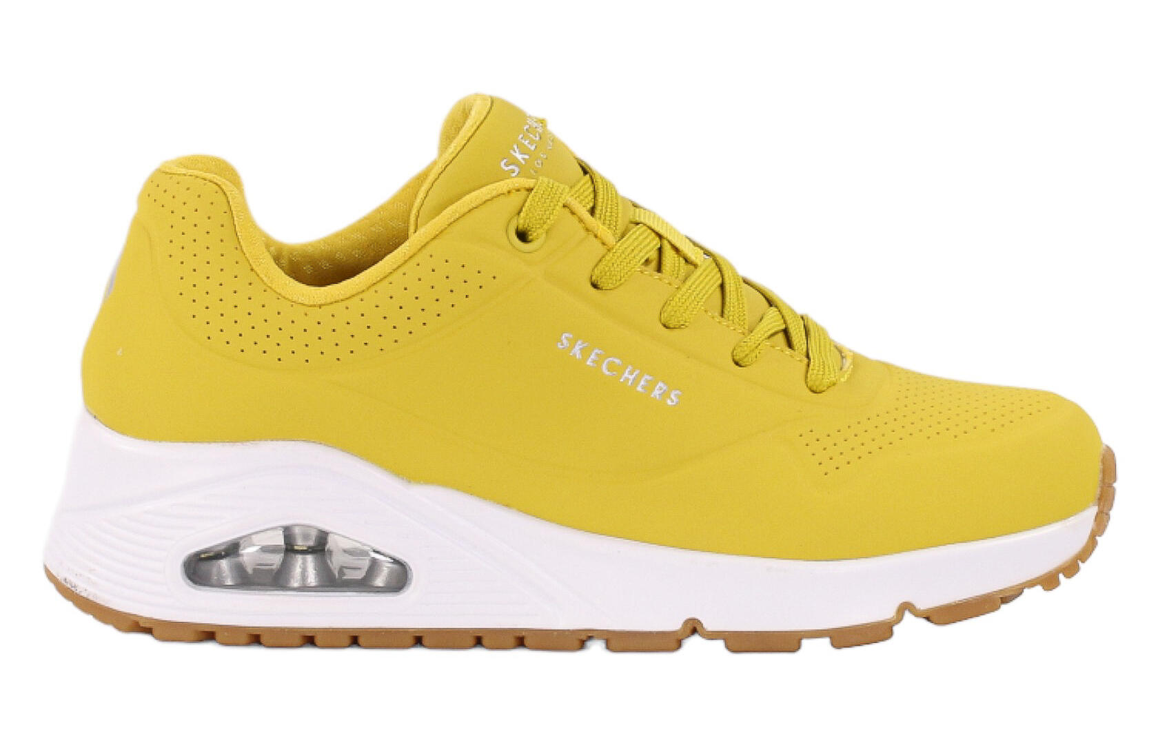 SKECHERS picture