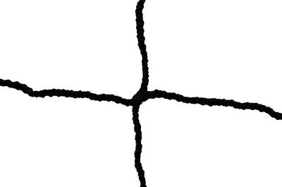 Voetbalnet 6 x 2.1 m zwart - diameter: 3 mm