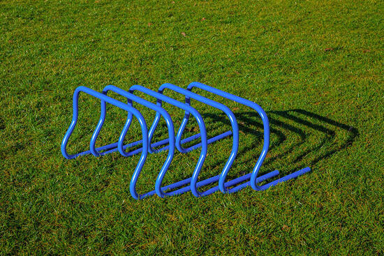 5er-Set Hecken - 30cm