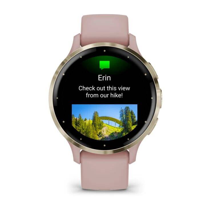 Venu® 3S
Soft Gold Stainless Steel Bezel with Dust Rose Case and Silicone Band -  4