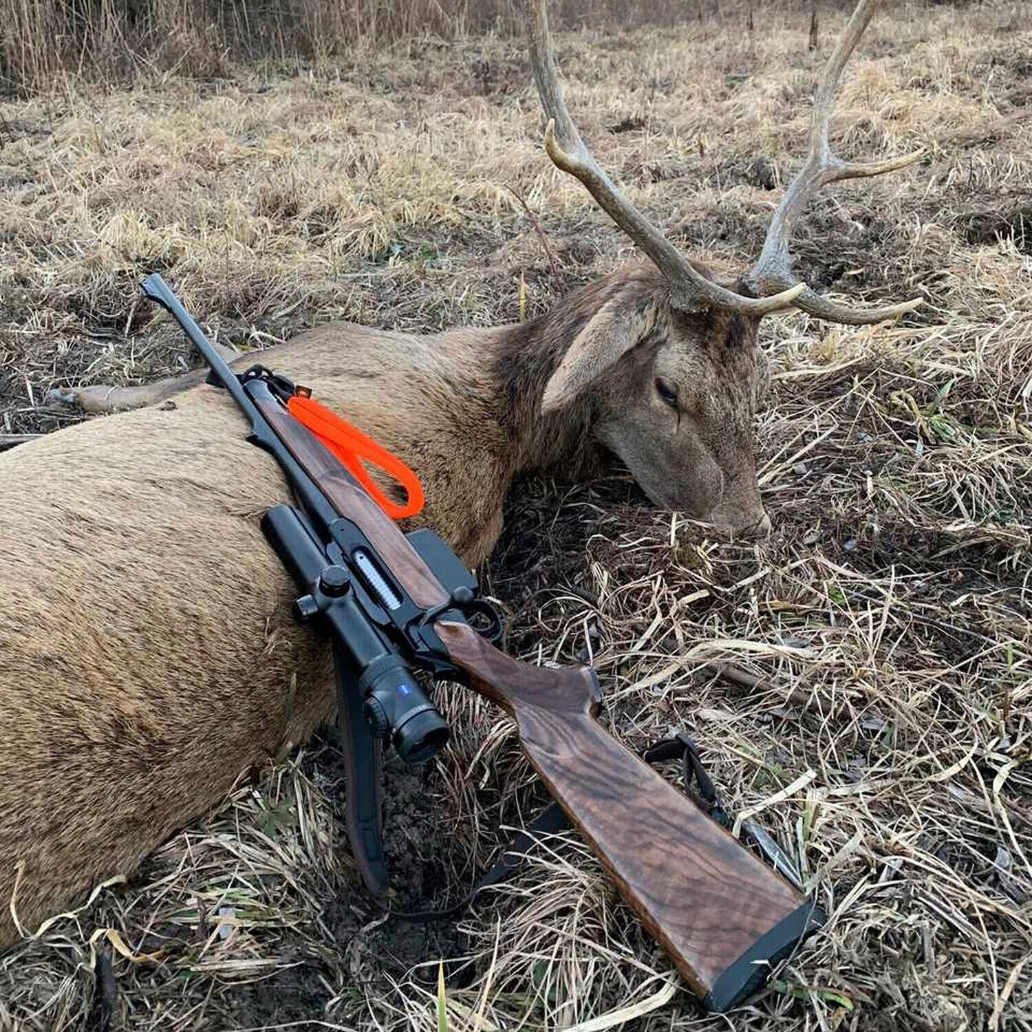 Gewehrschlaufe SH2 Drückjagd 4/7