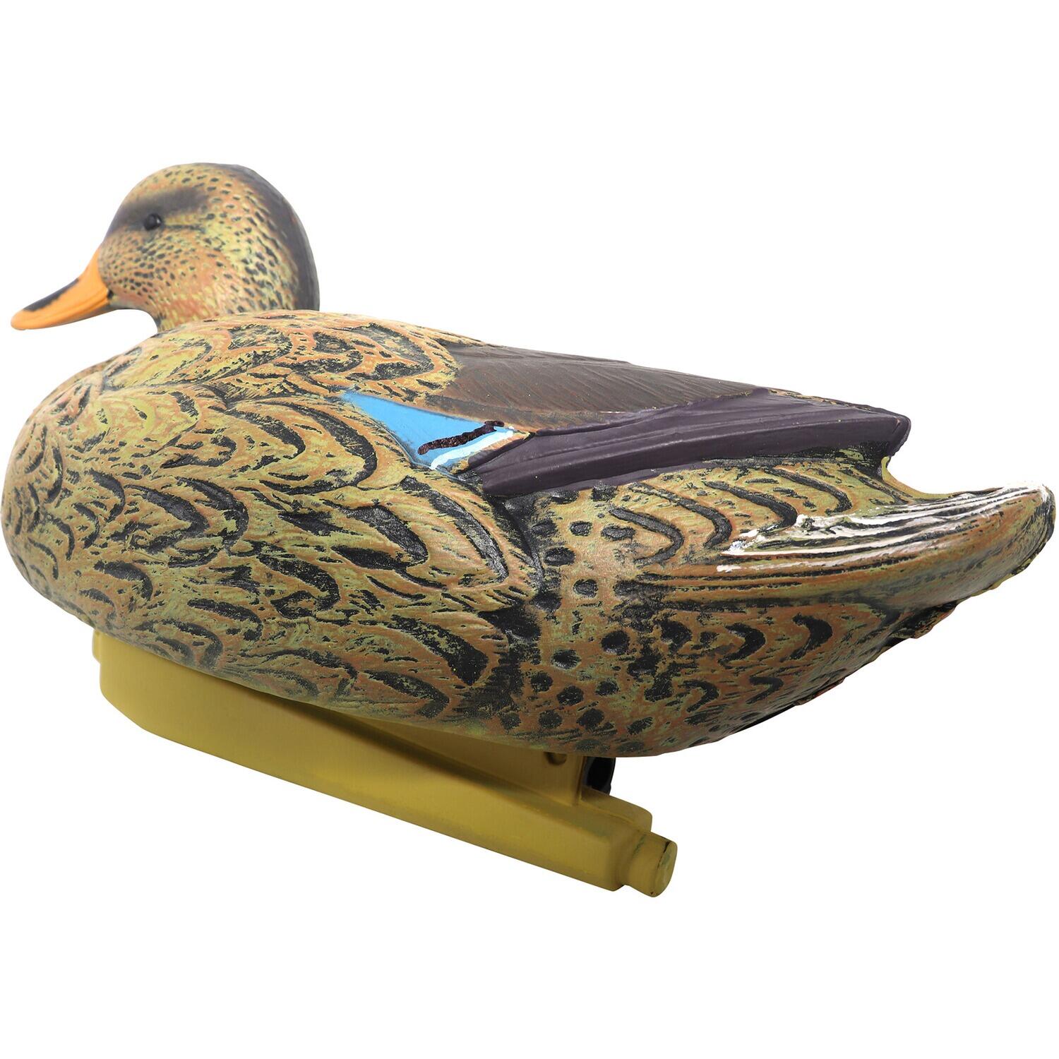 Lockvogel Set Ente & Erpel 5/7