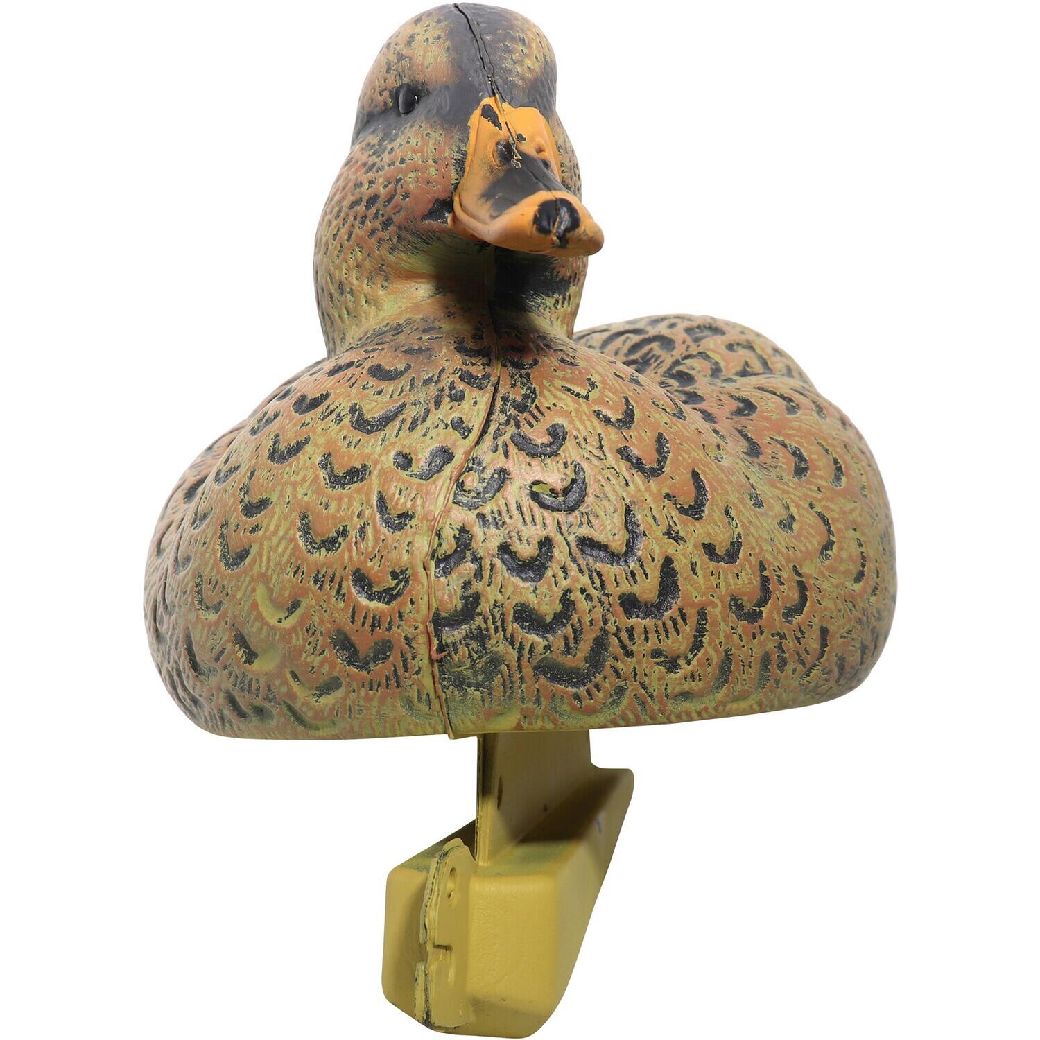 Lockvogel Set Ente & Erpel 7/7