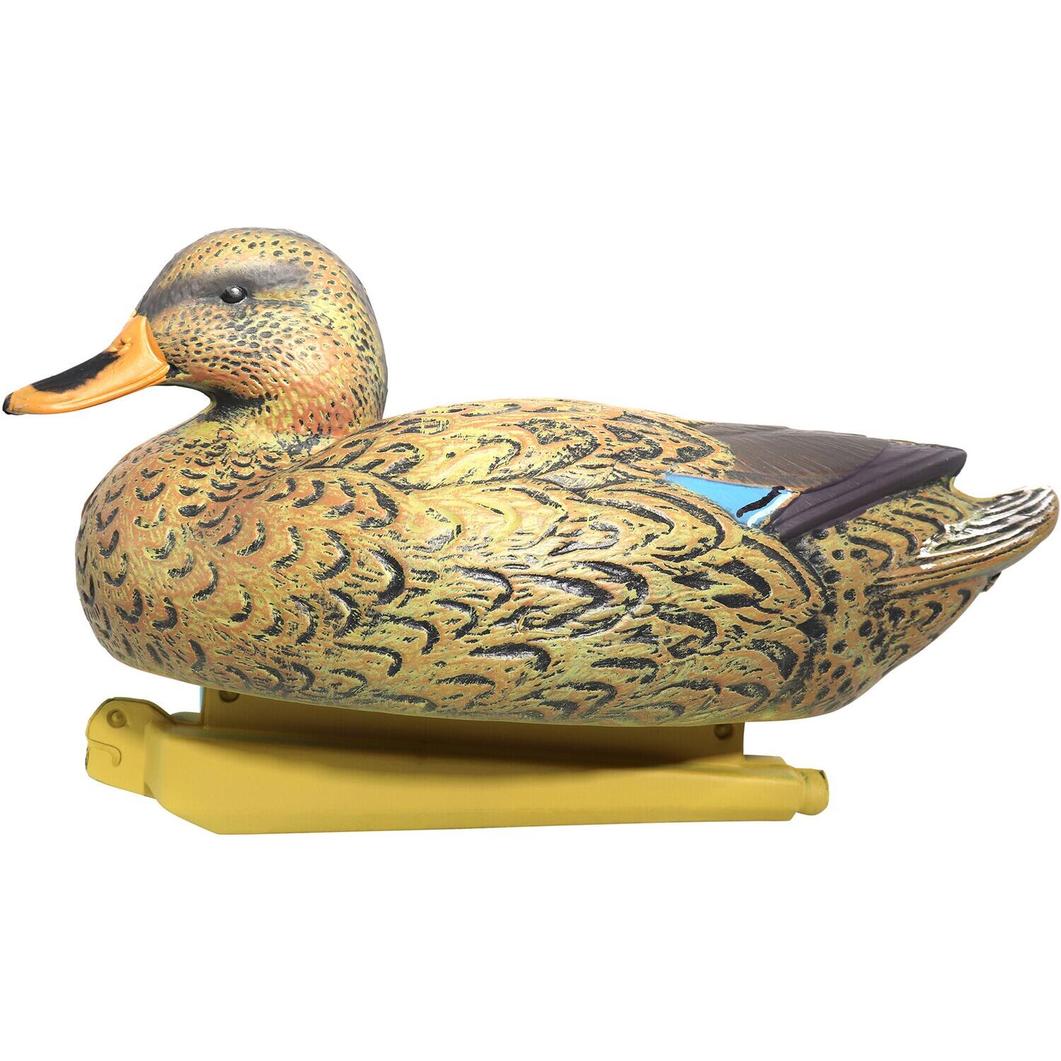 Lockvogel Set Ente & Erpel 3/7
