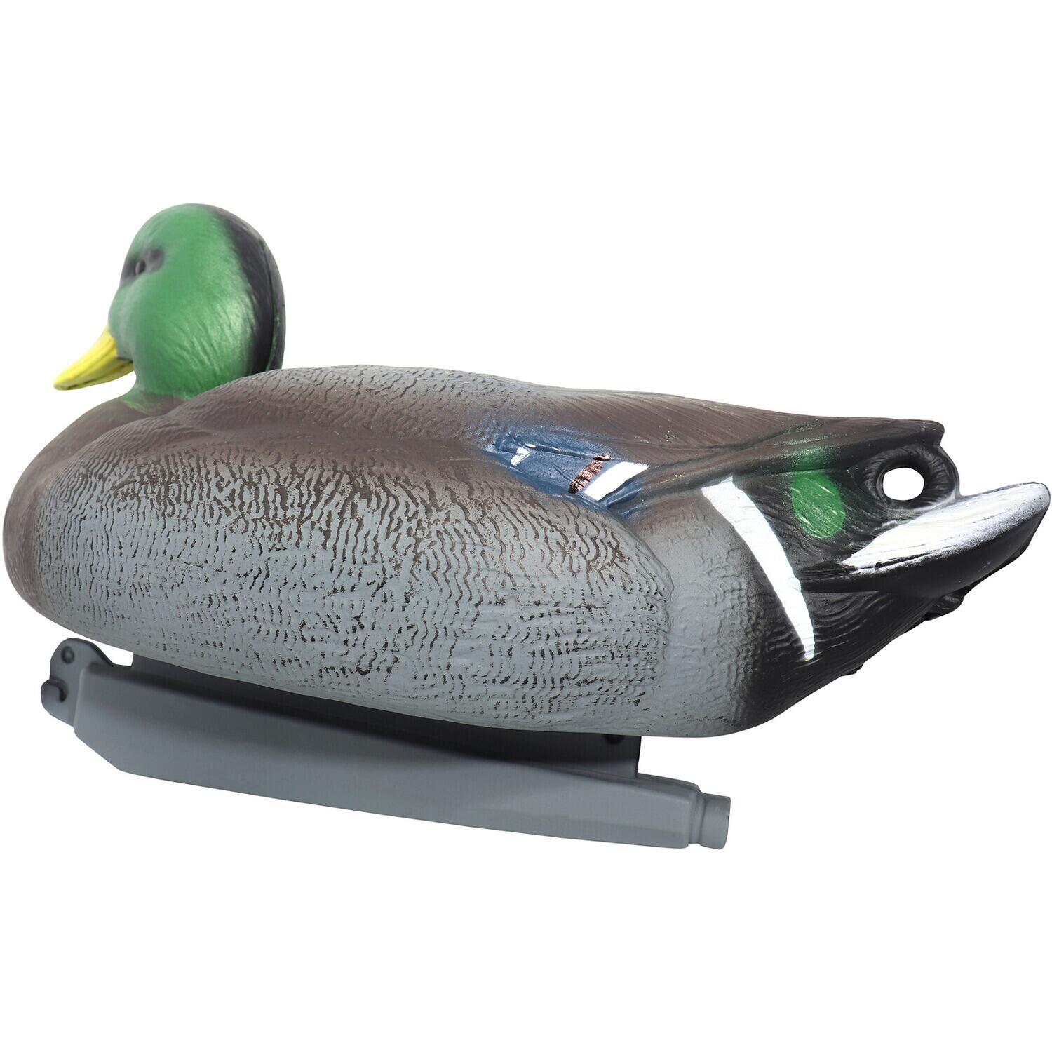 Lockvogel Set Ente & Erpel 4/7