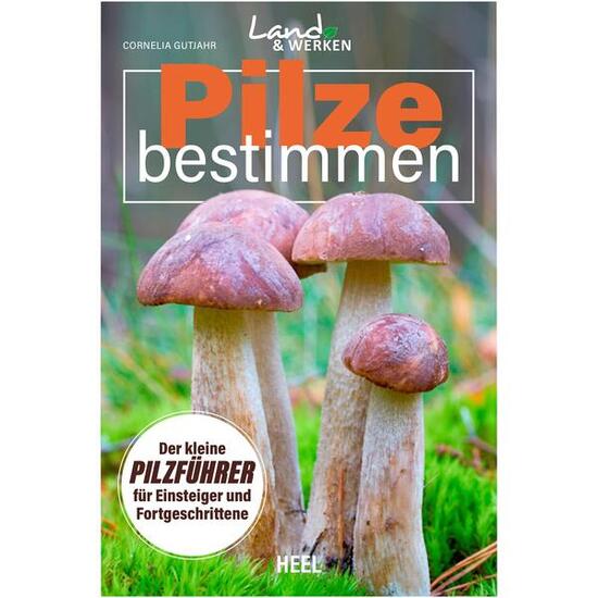 Buch: Pilze bestimmen