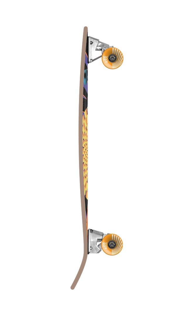Universe 31 - Surfskate 2/4