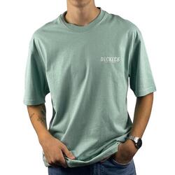 T-shirt Vert Homme Dickies Script Blue Surf