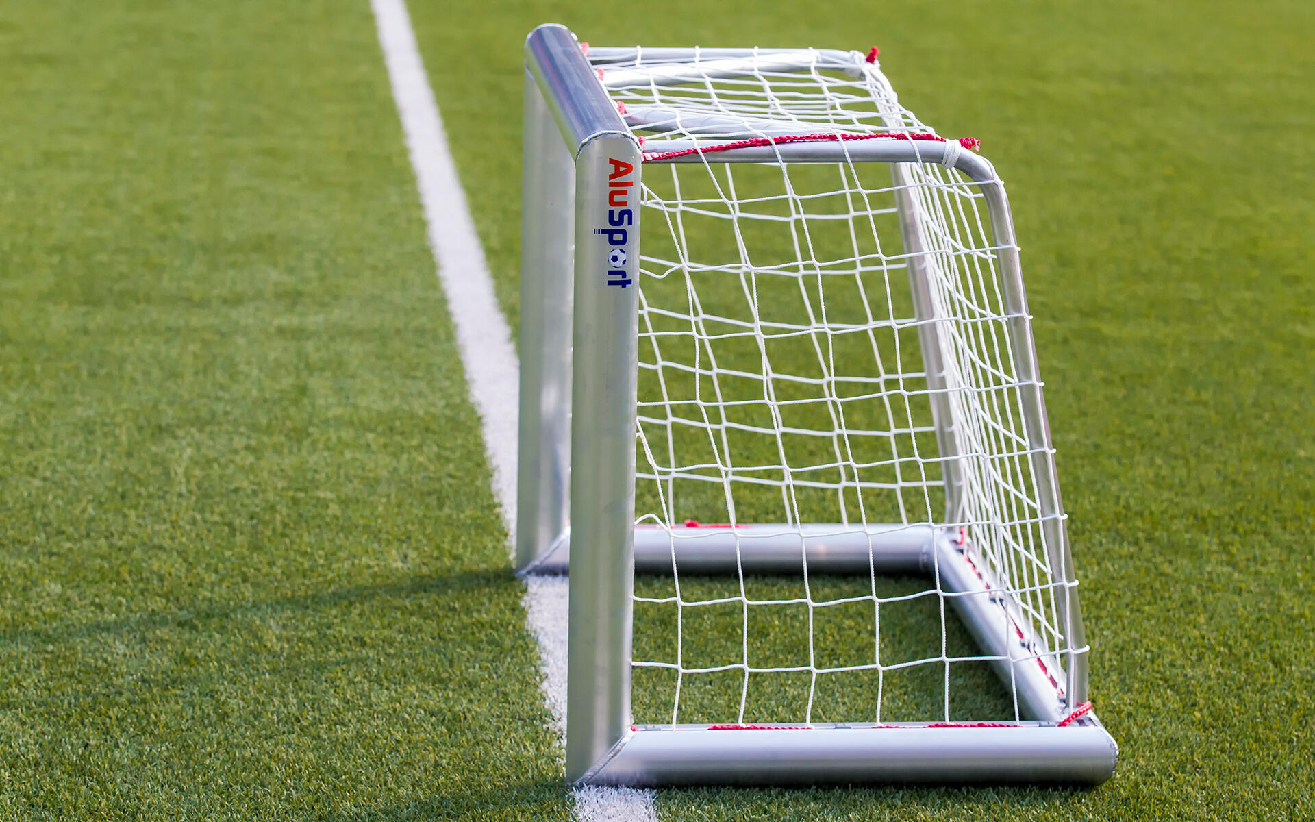 Pro voetbaldoel: 120x80cm (Aluminium) 2/4