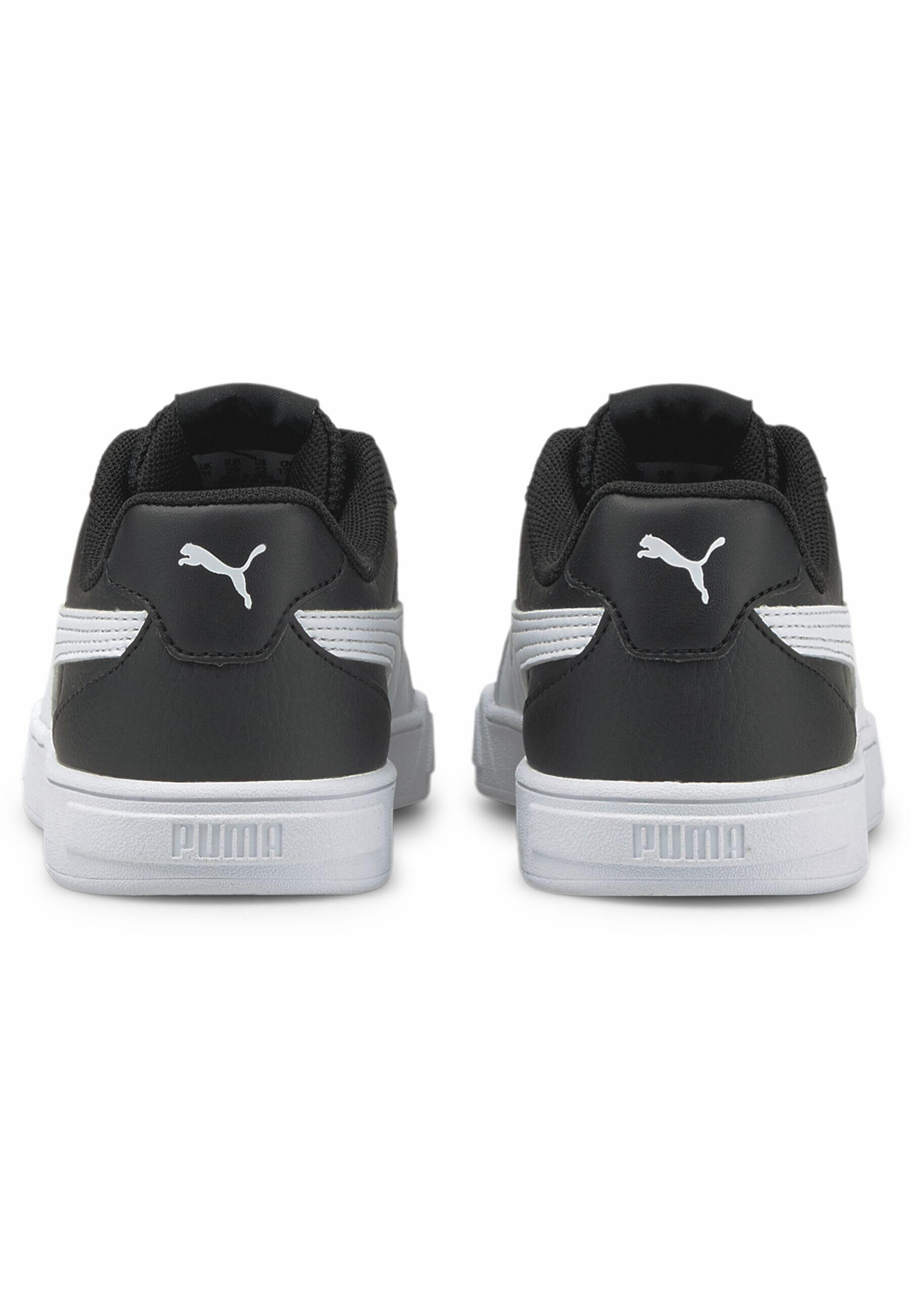 PUMA picture