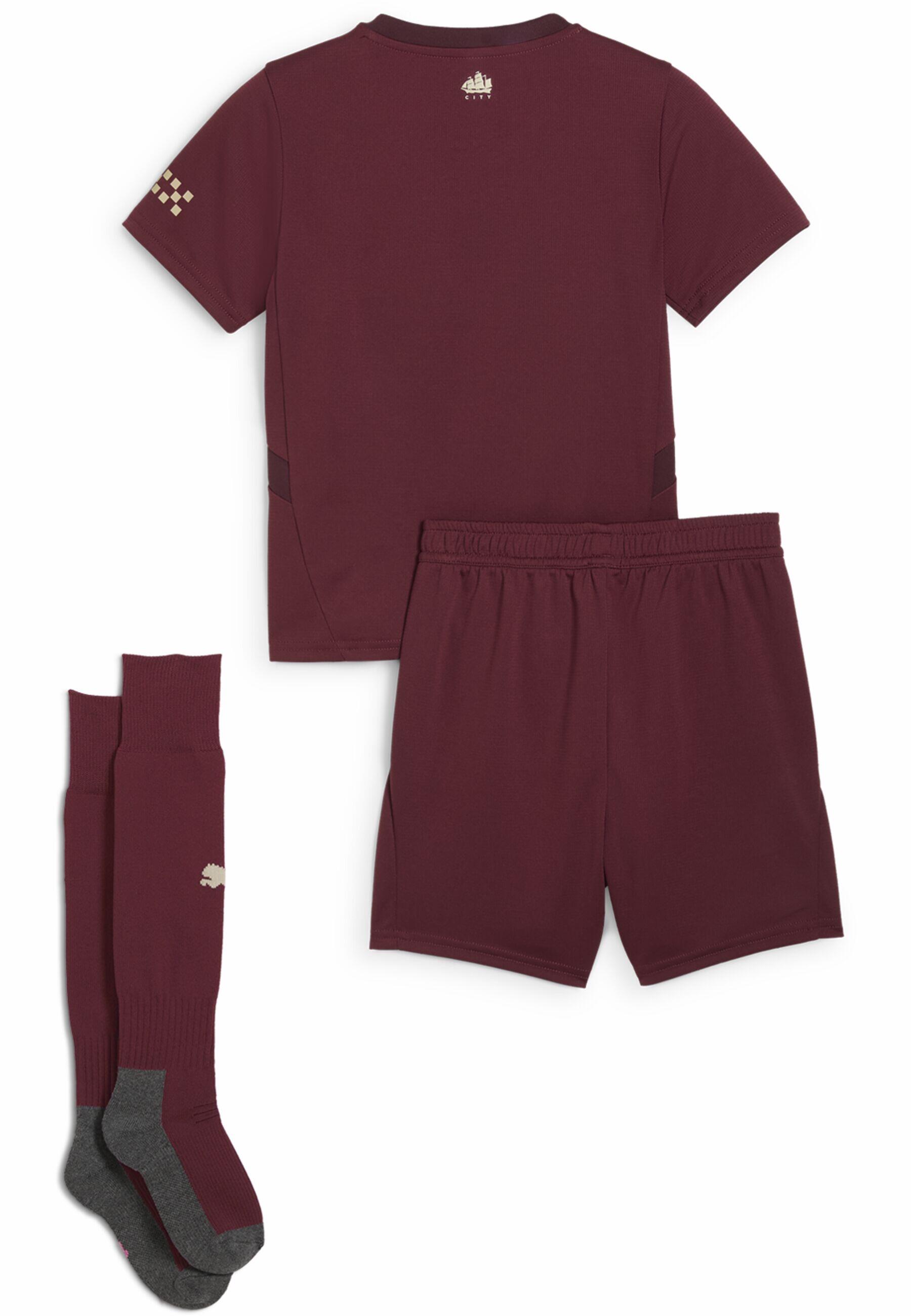 Manchester City 24/25 derde-minitenue voor kinderen PUMA Dark Jasper Red 2/3